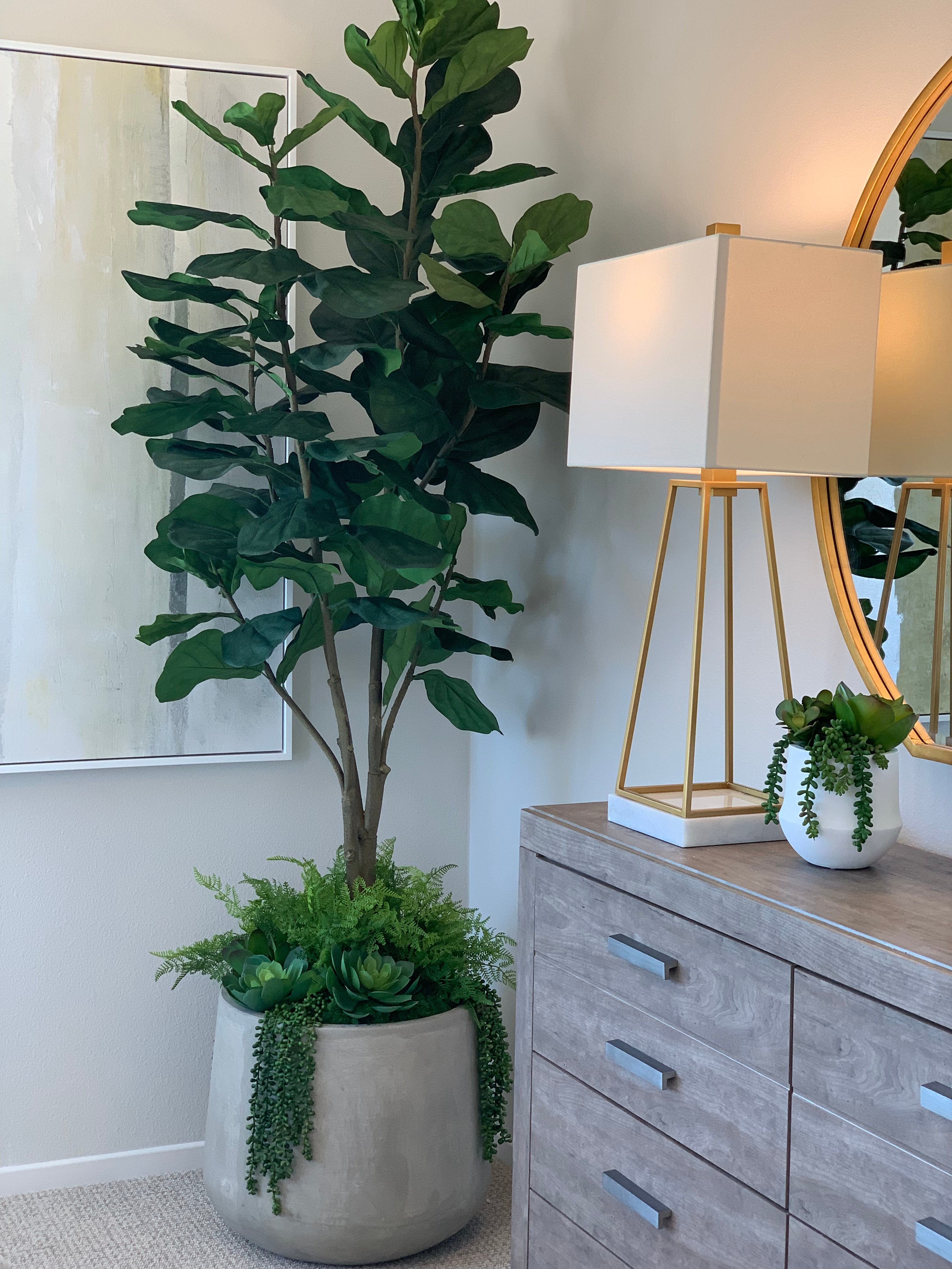 7' Fiddle Leaf Fig Tree  FP1032