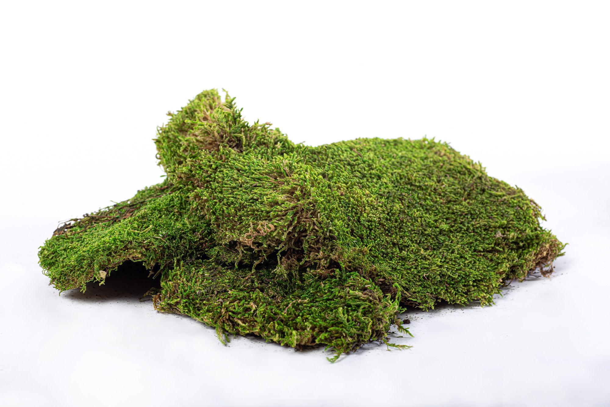 Sheet Moss 3lb Bag   FA1014