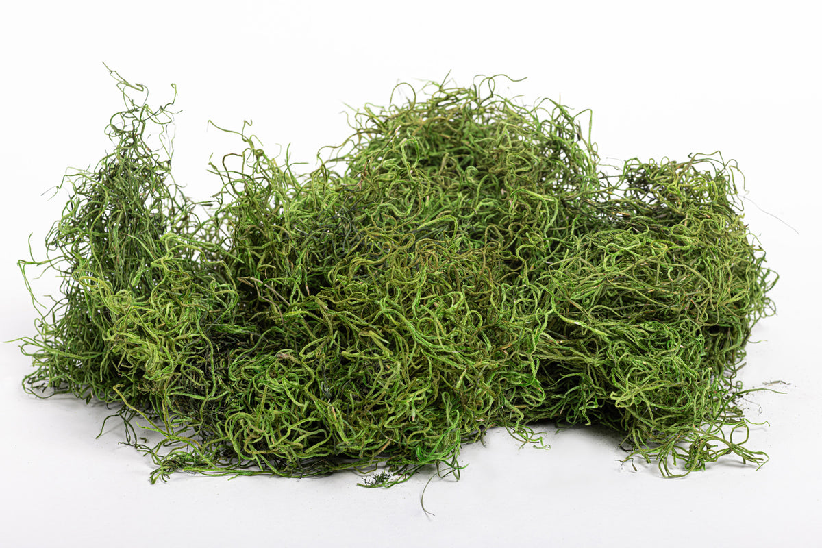Forest Green Spanish Moss FA1018