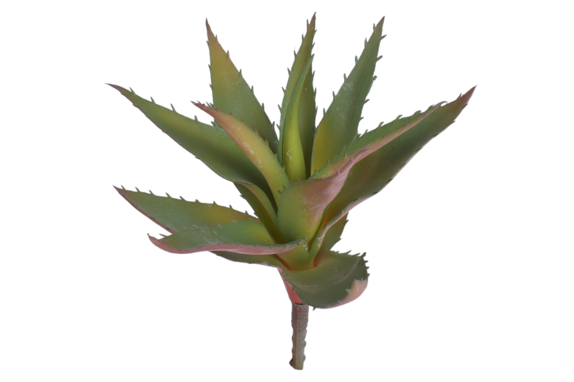 9" Aloe Stem   AV1012