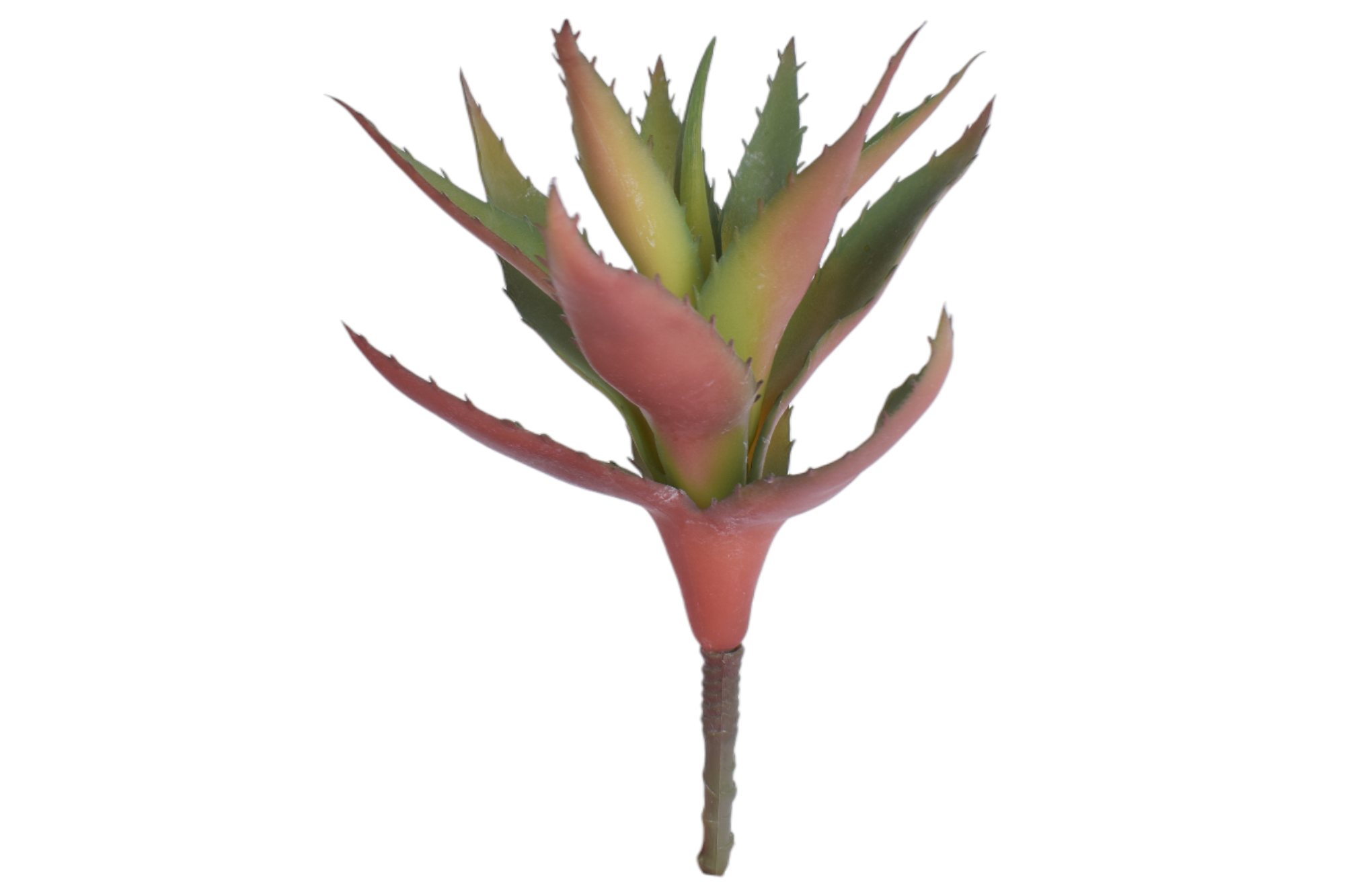 9" Aloe Stem   AV1012