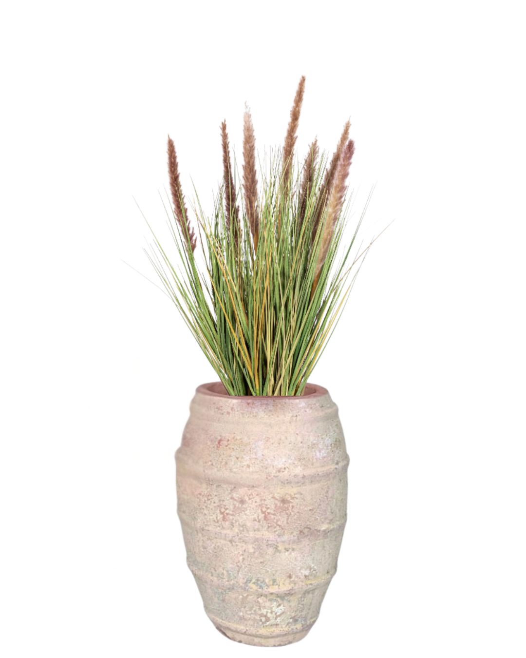 4' Foxtail Plant in Zara Planter PC1077CN1400SM