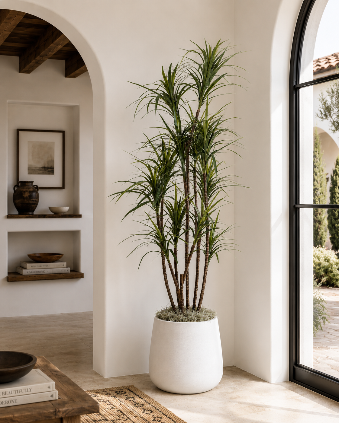 7.5' Dracaena in Large Cooper Planter