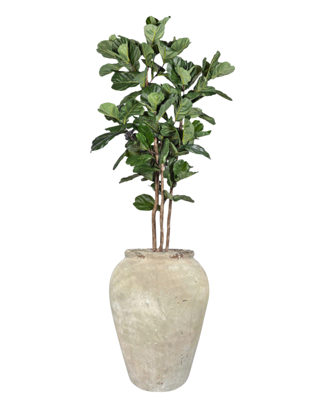 9' Fiddle Leaf Fig Tree in Calypso Planter PC1401CN1376WH