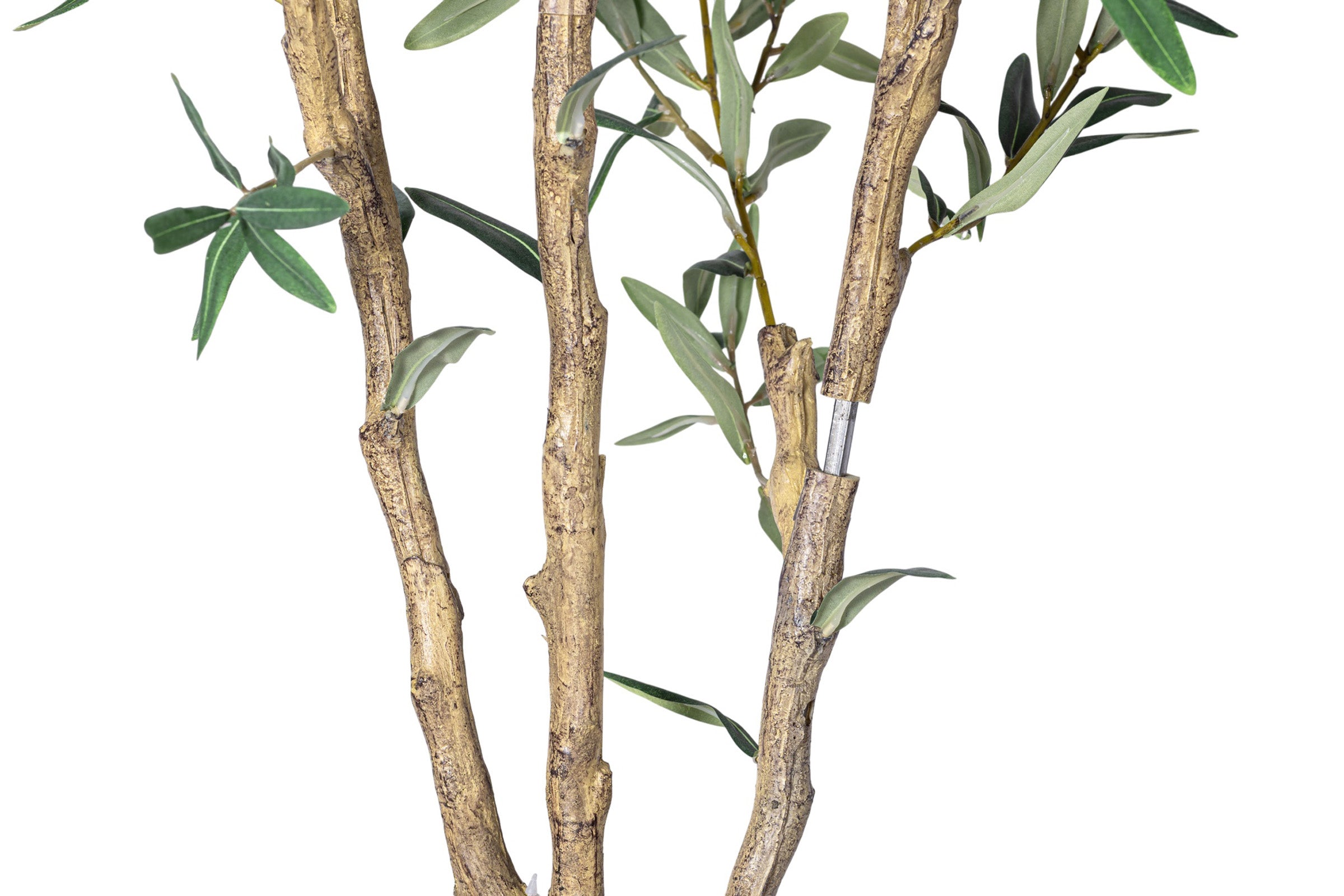 7' Olive Tree in Round Tapered Pot with Green Moss   FP1442