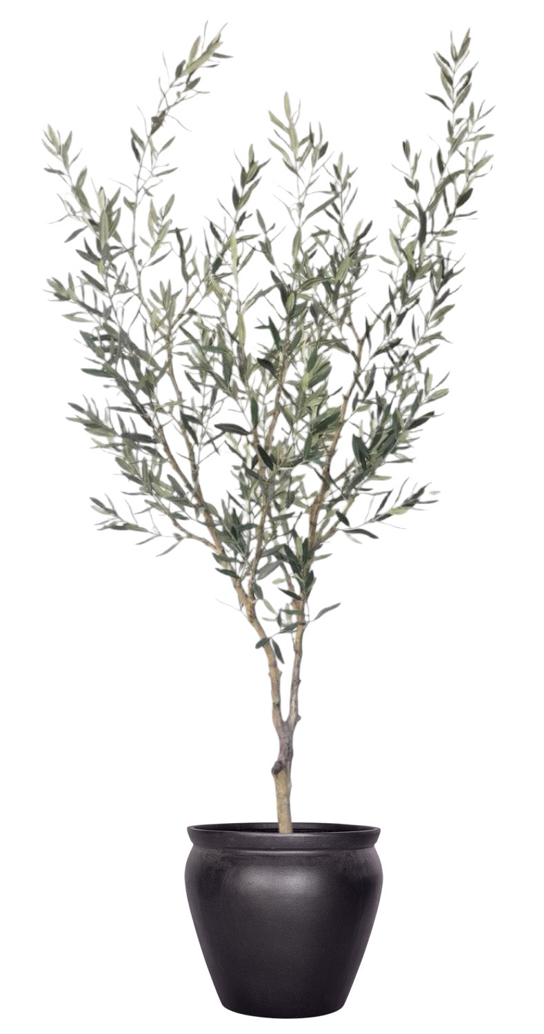 7' Olive Tree in Henry Planter