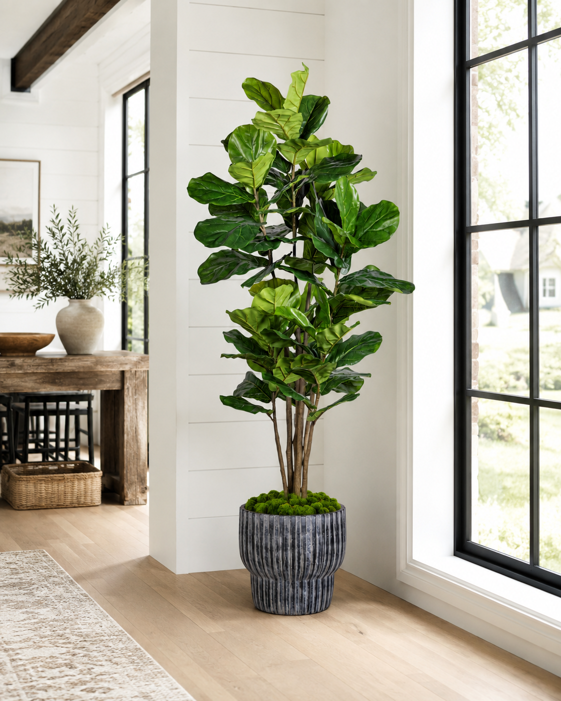 6.5' Fiddle Leaf Fig Tree in Large Bobby Planter   PC1510CN1474LG