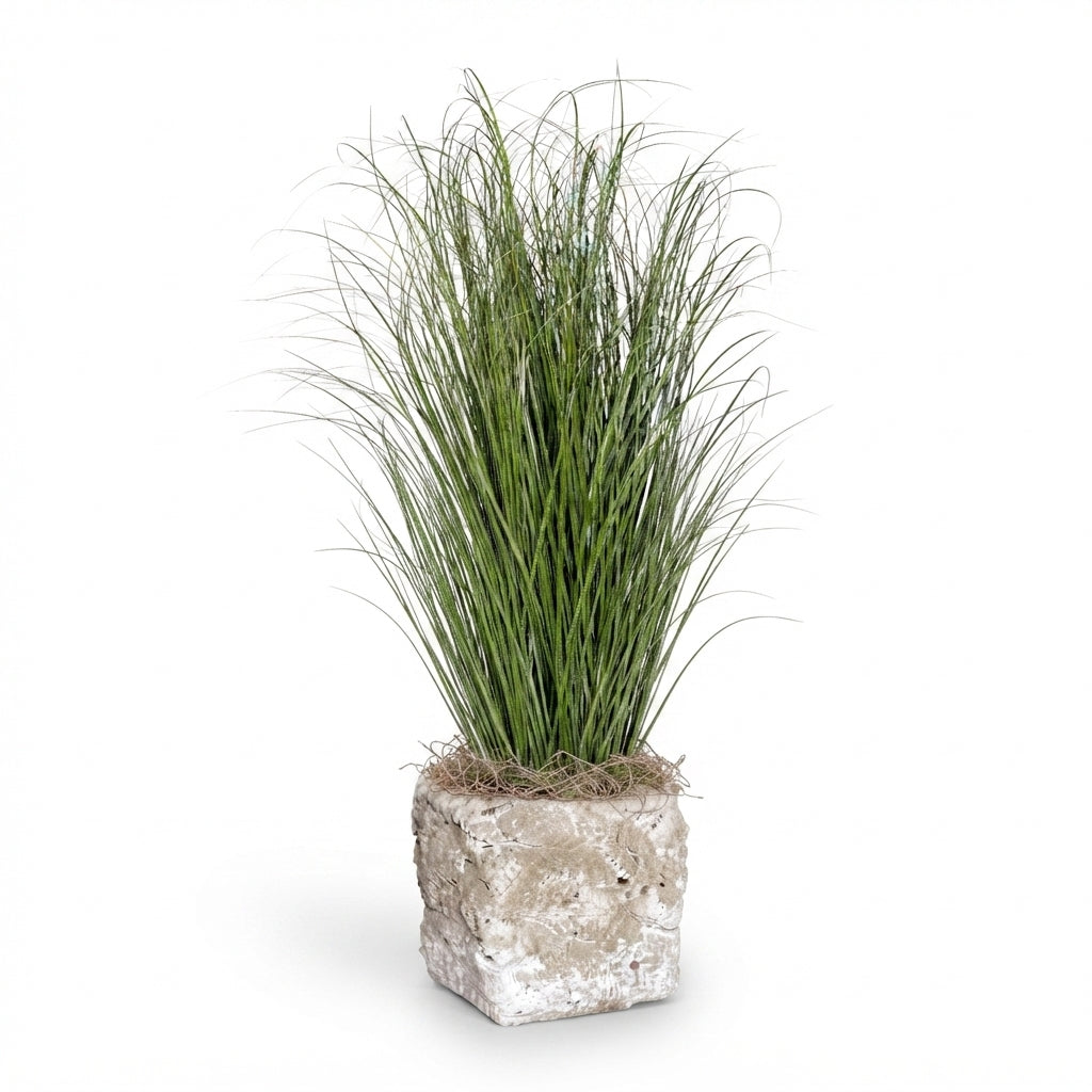 42.5" Potted Grass in Small Crux Planter with Natural Reindeer Moss PC1516CN1391SM