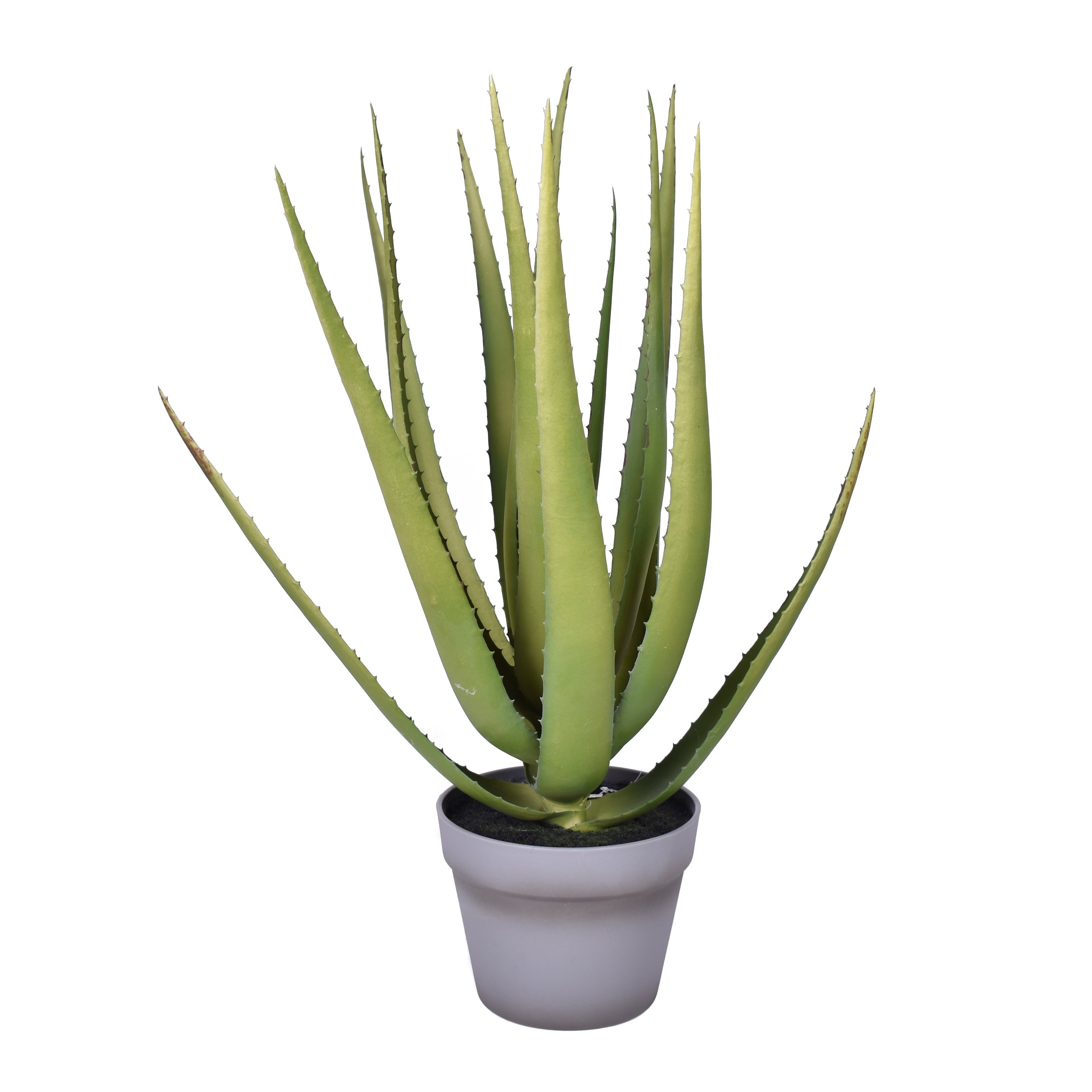 23" Aloe Plant- UV Protected    PP1046