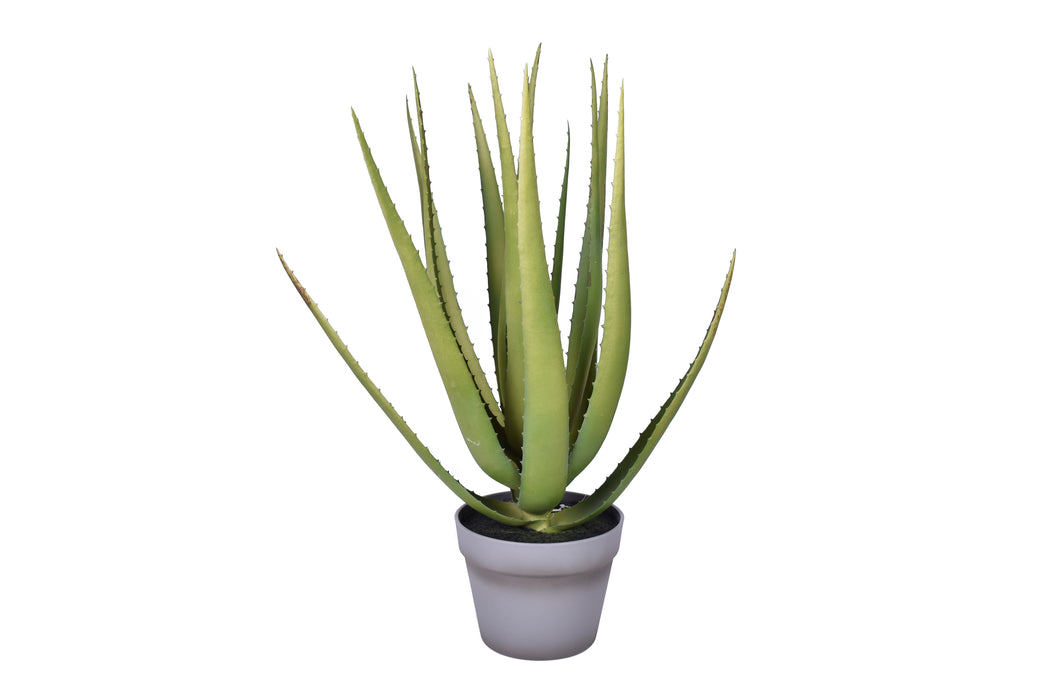 23" Aloe Plant- UV Protected    PP1046