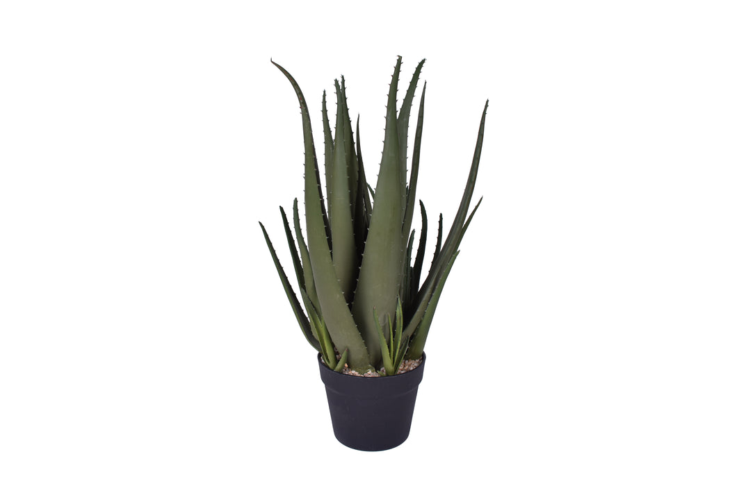 21" Aloe Plant- UV Protected    PP1047