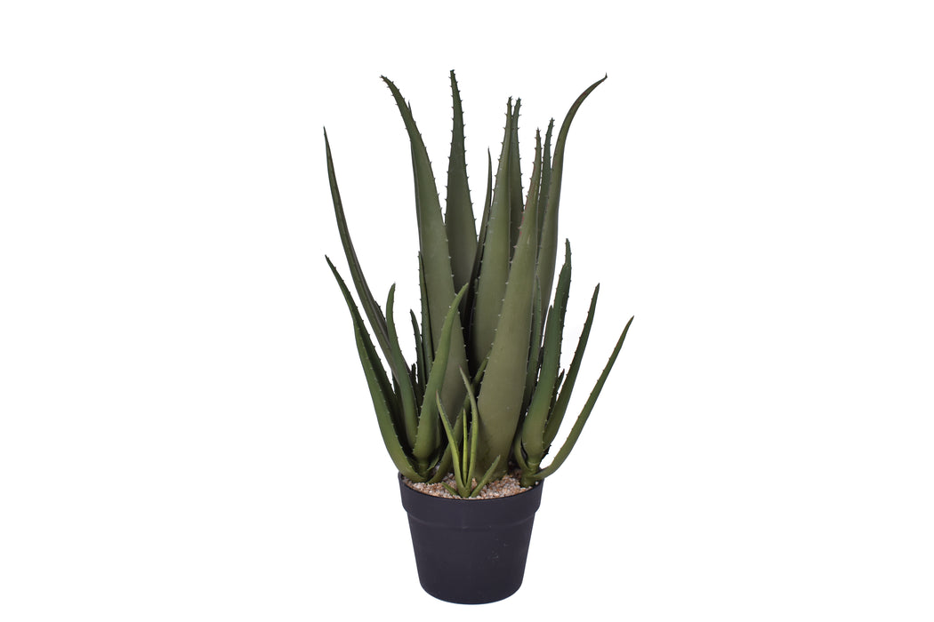 21" Aloe Plant- UV Protected    PP1047