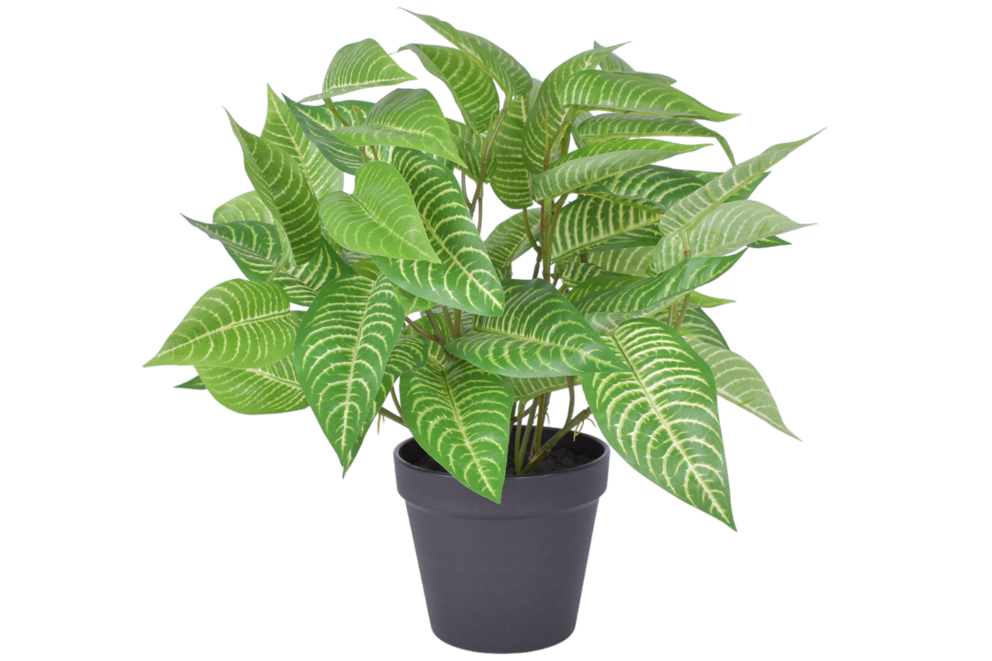 15" Potted Zebra Bush - UV Treated   PP1049