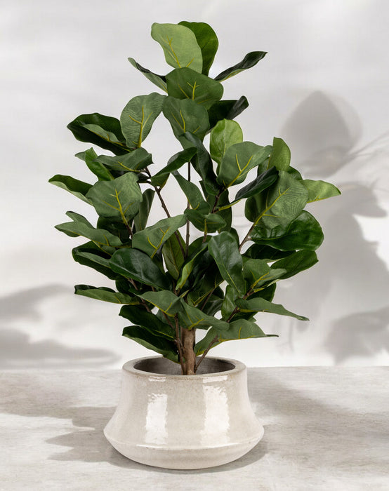 3' Fiddle Leaf Fig- UV Protected     PP1051