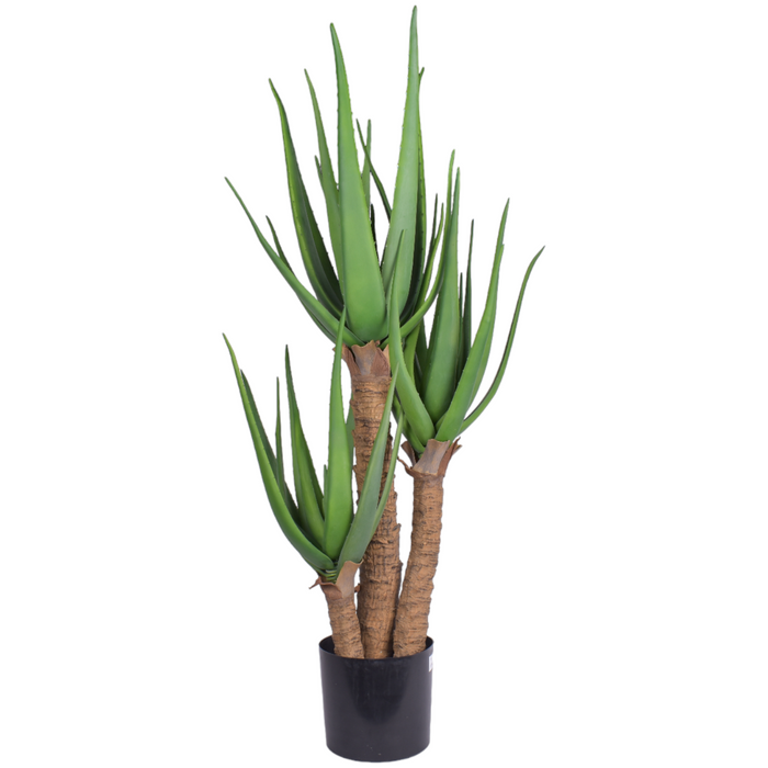 4' Aloe Plant- UV Treated     PP1052