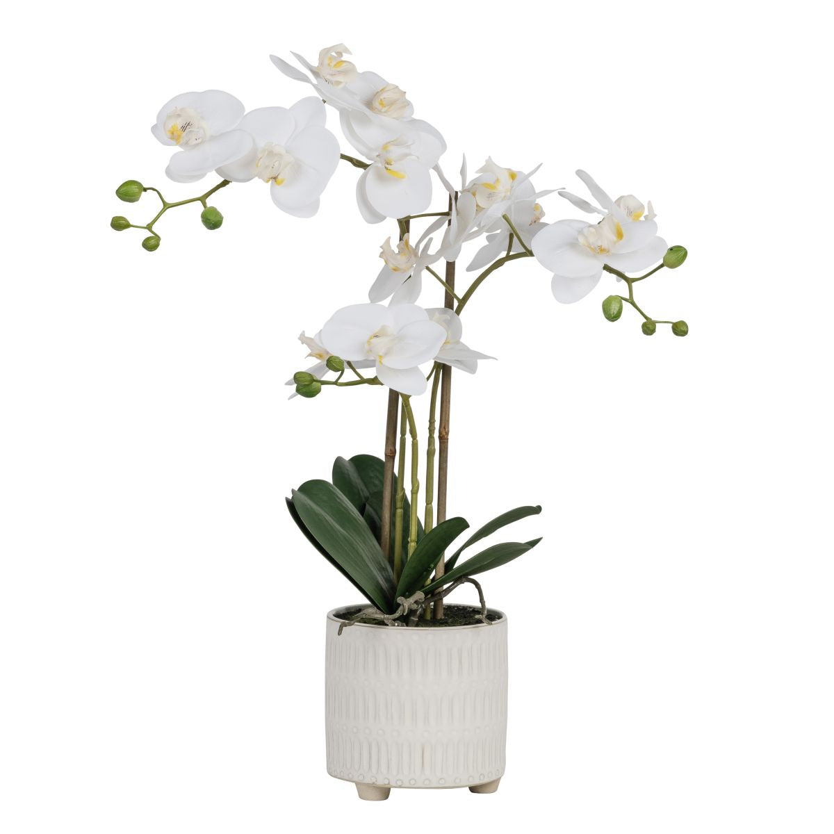 22" Real Touch Orchid Arrangement   PP1057