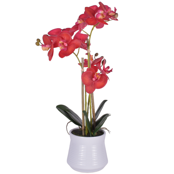 22" Real Touch Orchid Arrangement   PP1059