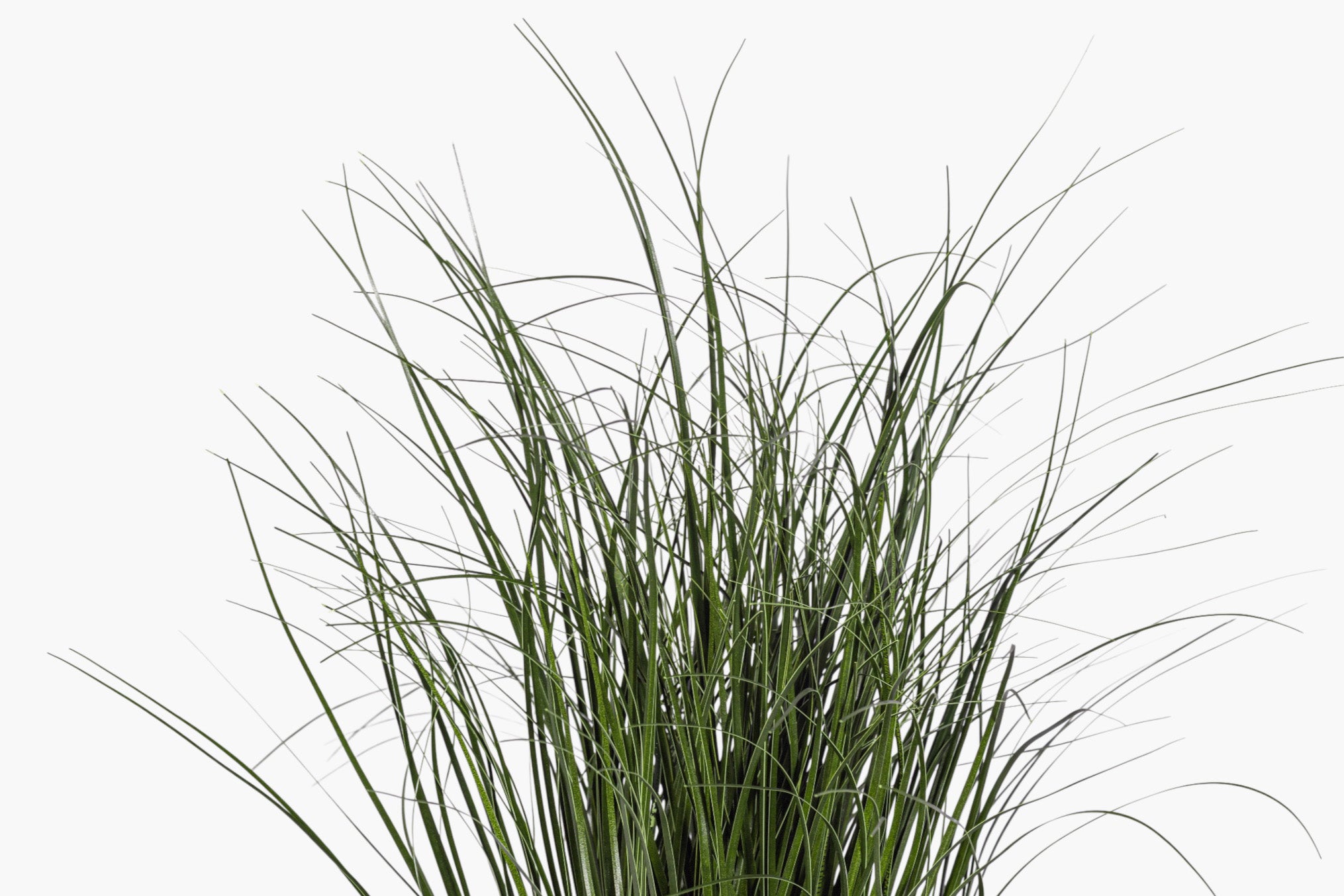 24" Potted Grass - UV Treated PP1073
