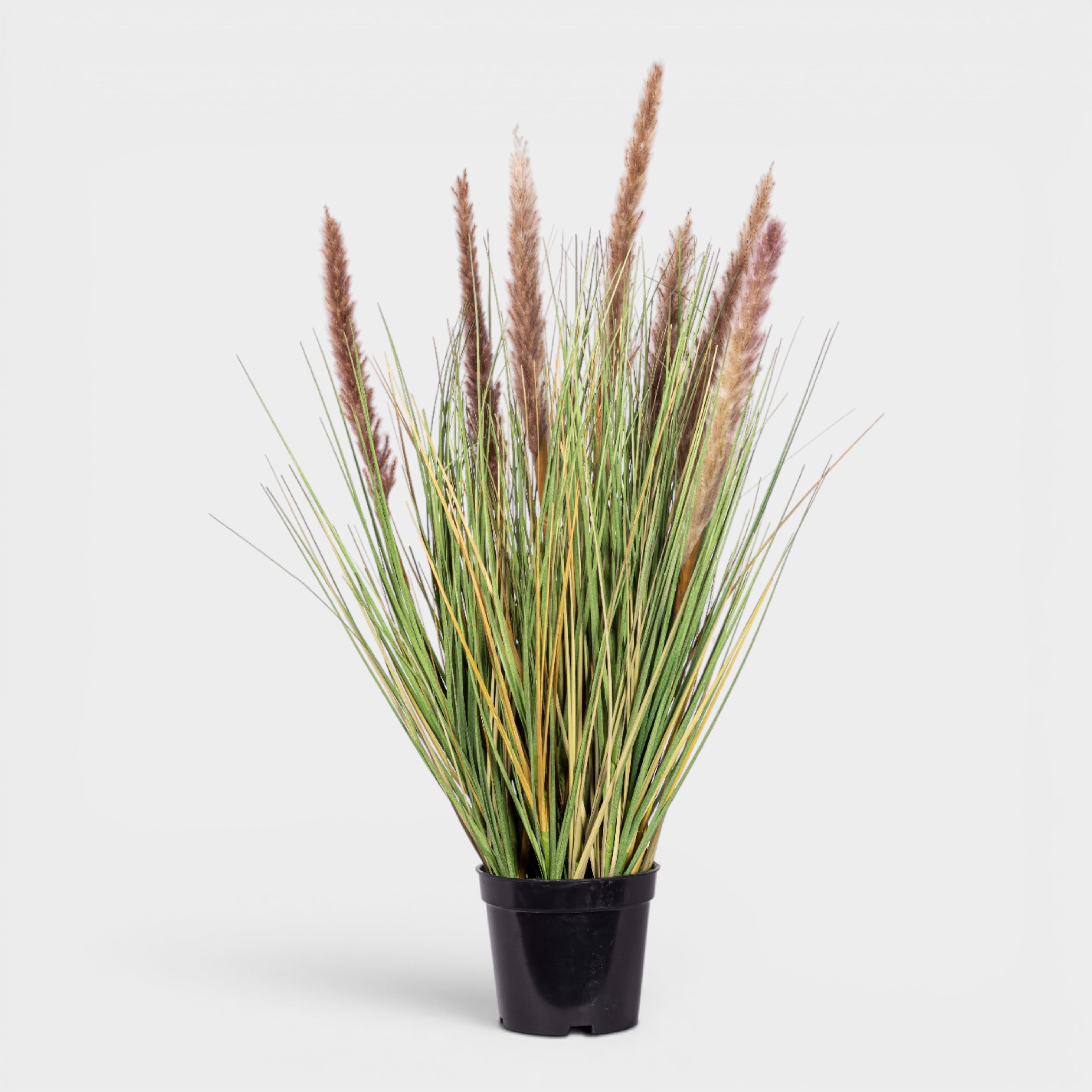 22.5" Natural Foxtail Grass - UV Treated  PP1077
