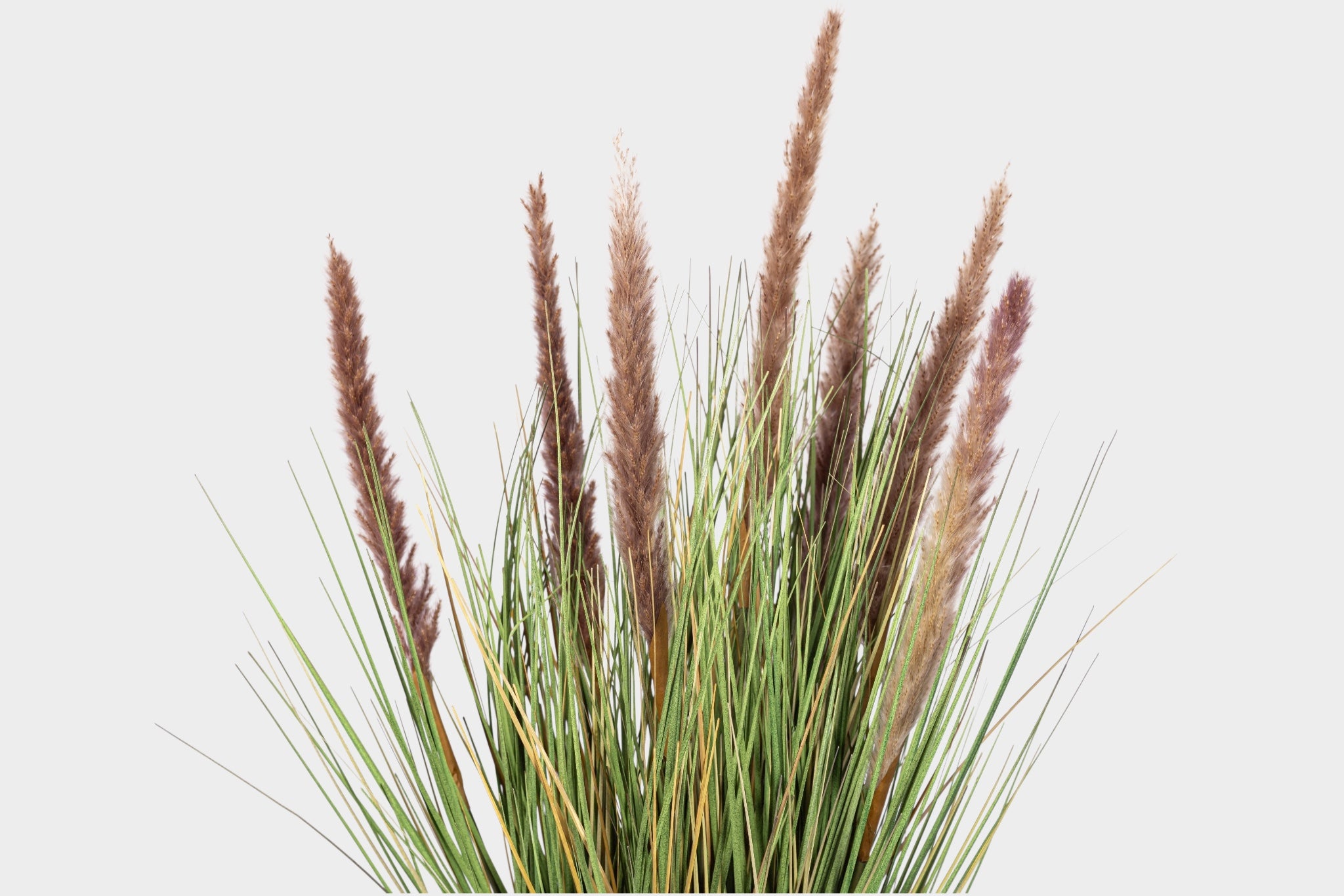22.5" Natural Foxtail Grass - UV Treated  PP1077