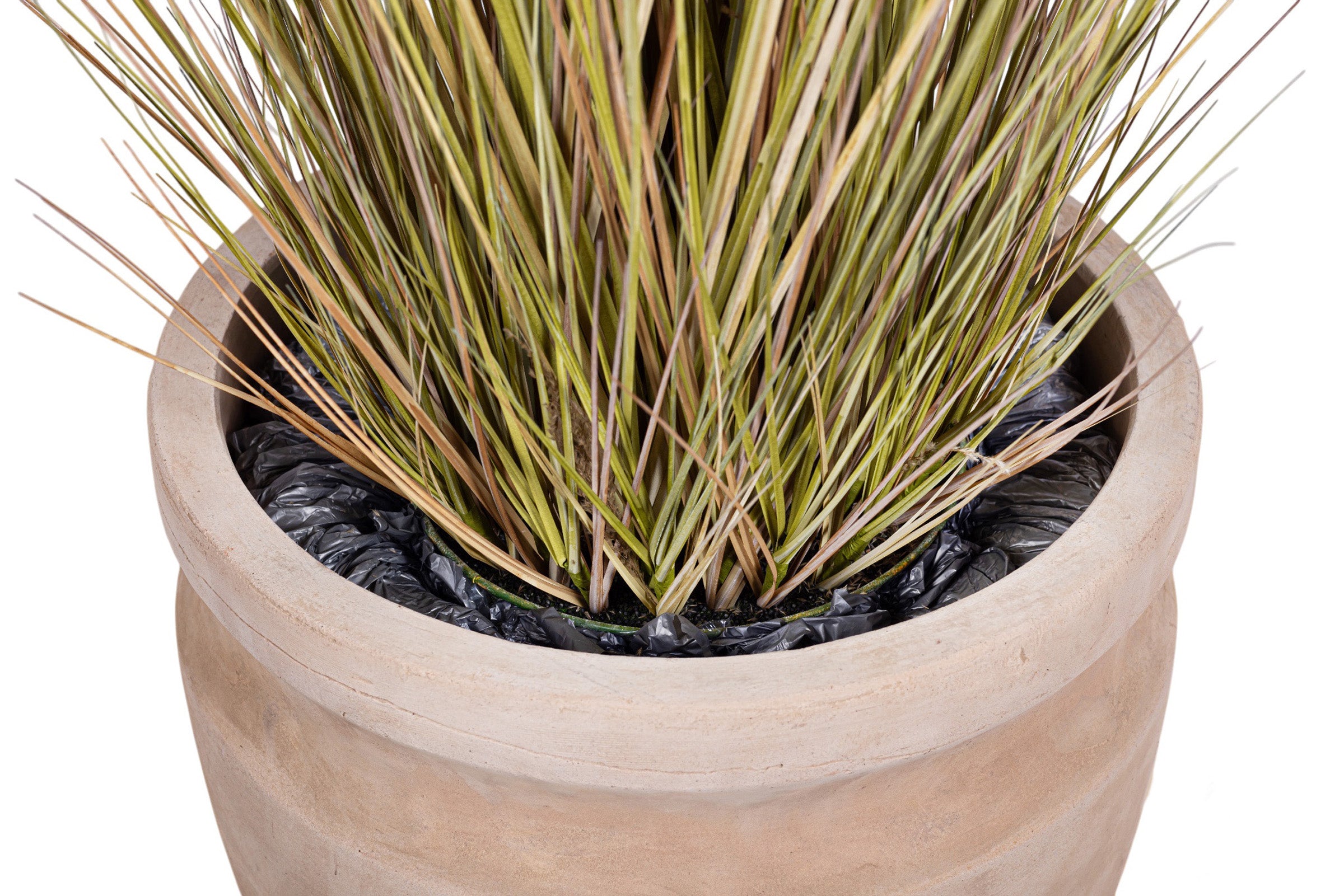 4' Pampas Grass in Terracotta Romeo Planter with Spanish Moss   PC1481CN1431LG