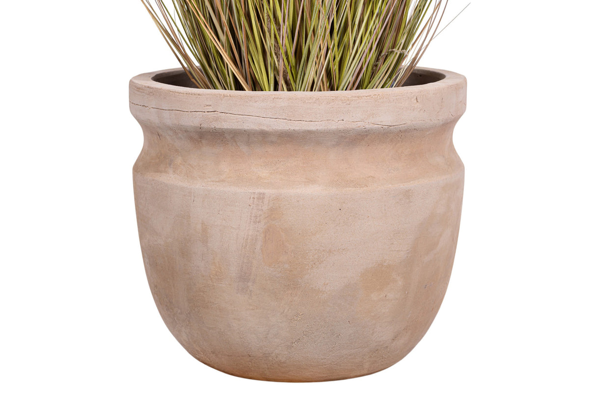 4' Pampas Grass in Terracotta Romeo Planter with Spanish Moss   PC1481CN1431LG