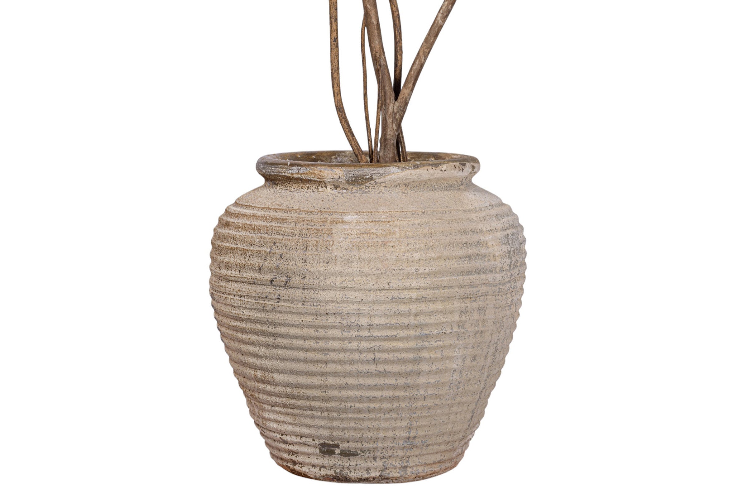 9' Ficus Alii in Linden Planter with Mood Moss   PC1432CN1448