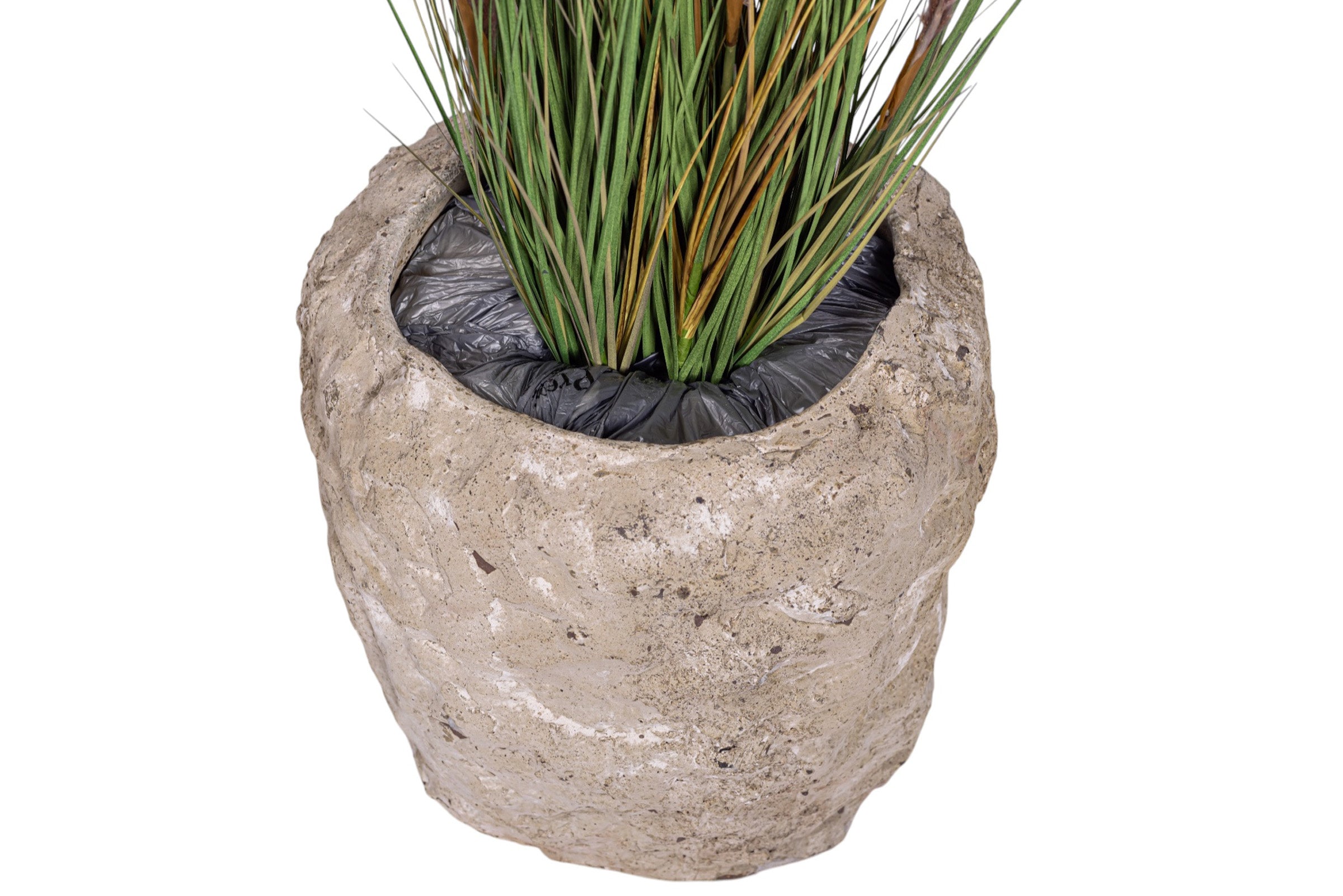 30" Foxtail in Crux Planter PC1077CN1392SM