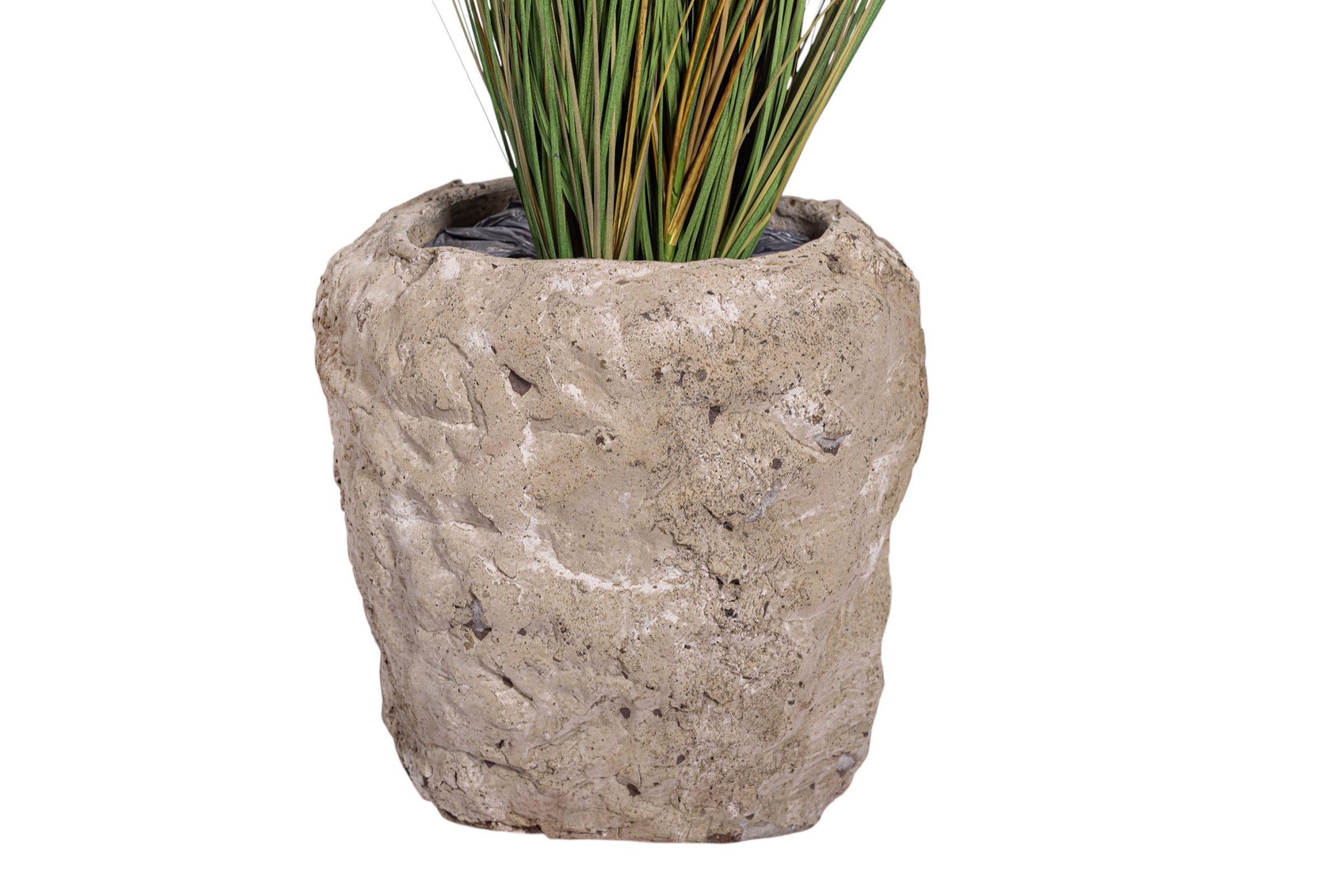 30" Foxtail in Crux Planter PC1077CN1392SM