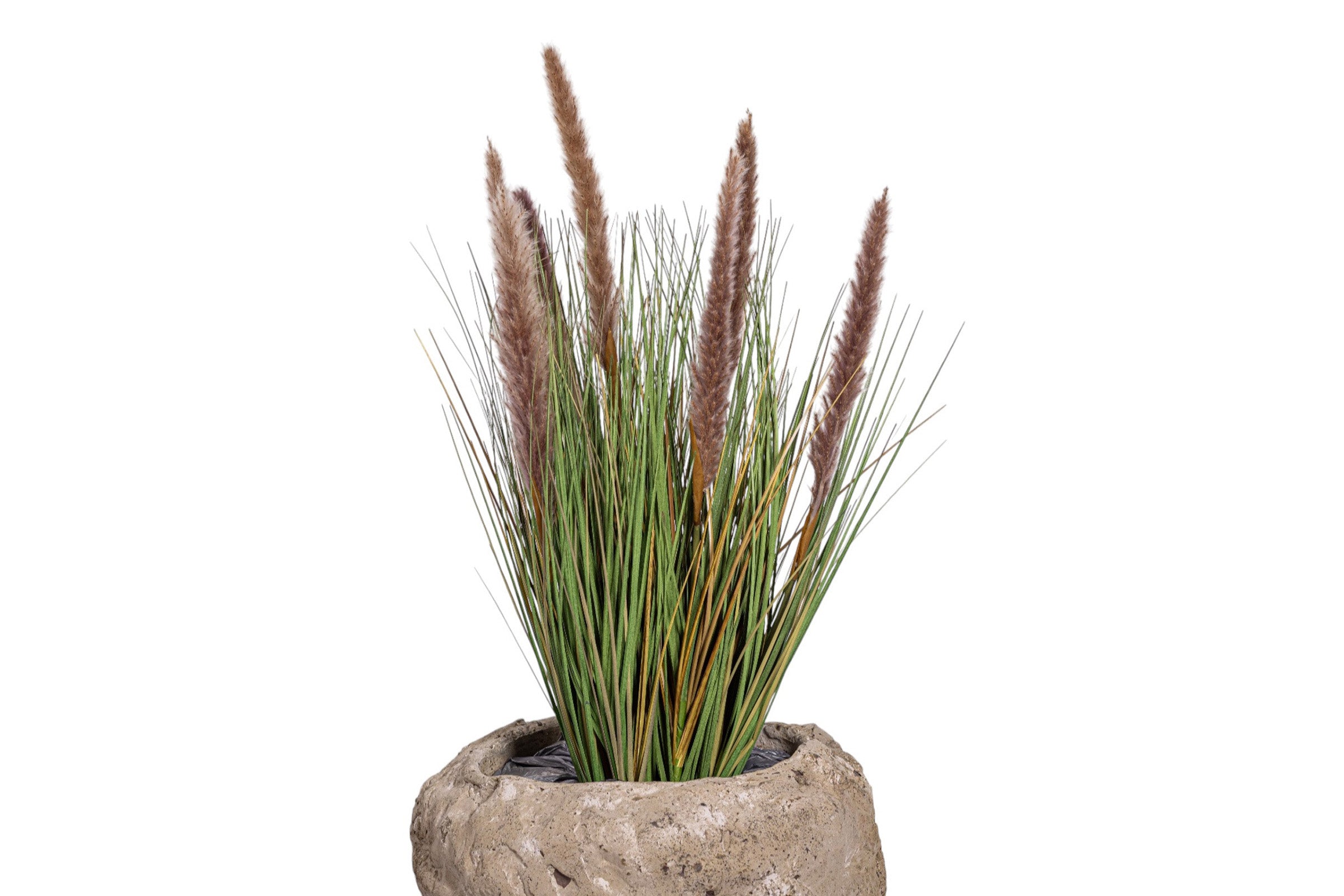30" Foxtail in Crux Planter PC1077CN1392SM