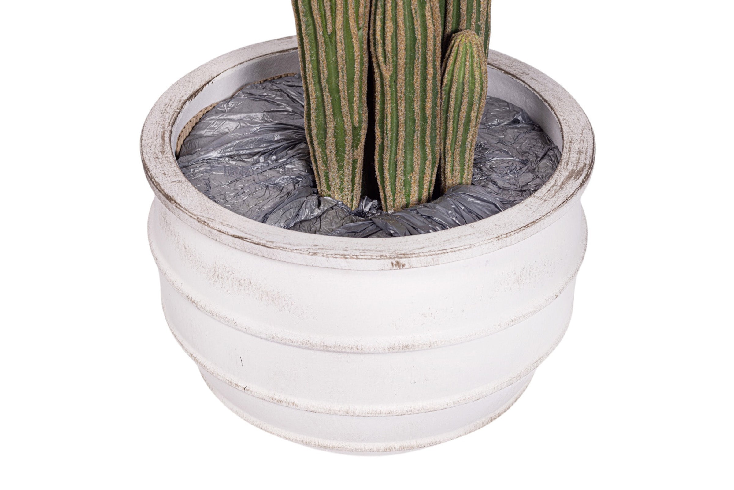 41" Cereus Cactus in White Terracotta Enzo Planter with .5-1" Gold Rock   PC1103CN1430MD