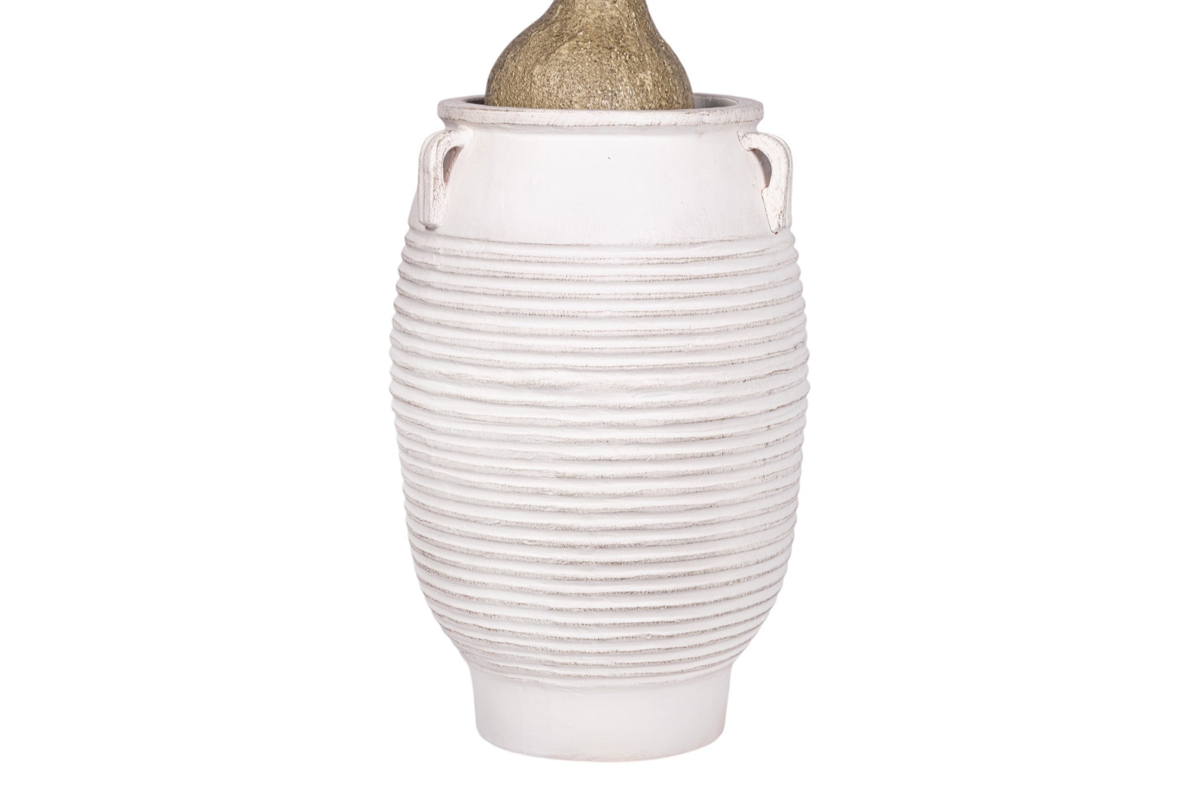 7' Ponytail Palm in White Terracotta Mossimo Planter with .5-1" Gold Rock   PC1520CN1428LG