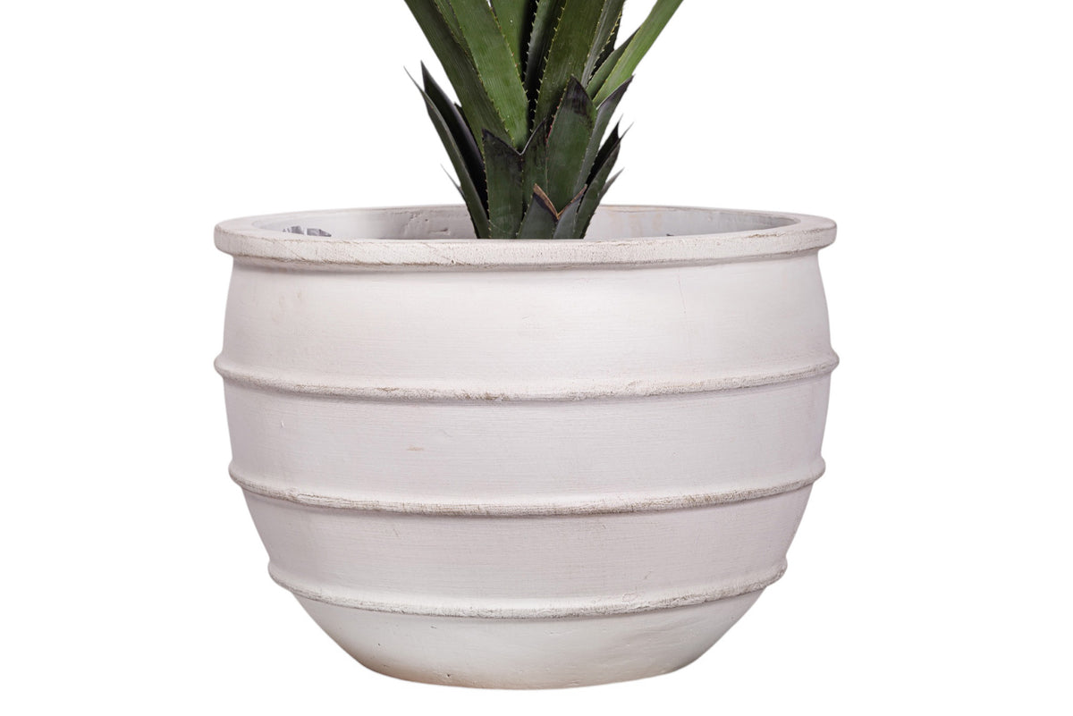 43" Pandanus Plant in White Enzo Planter with .5-1" Gold Rock    PC1245CN1430LG