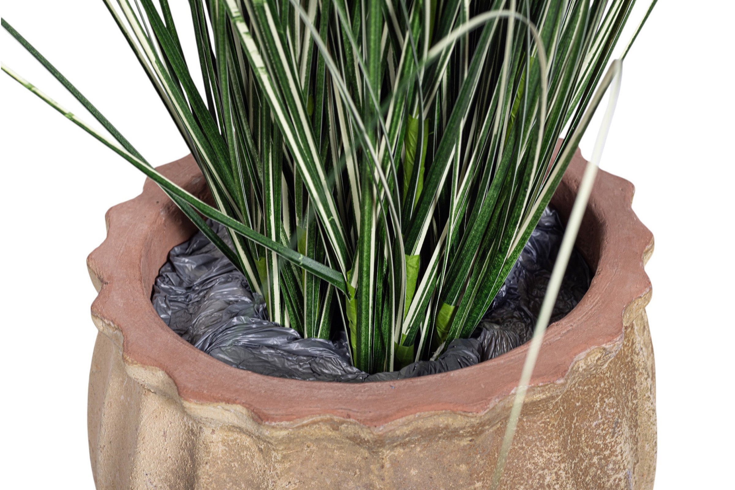40" Variegated Grass in Small Titus Planter with Mood Moss   PC1517CN1388SM