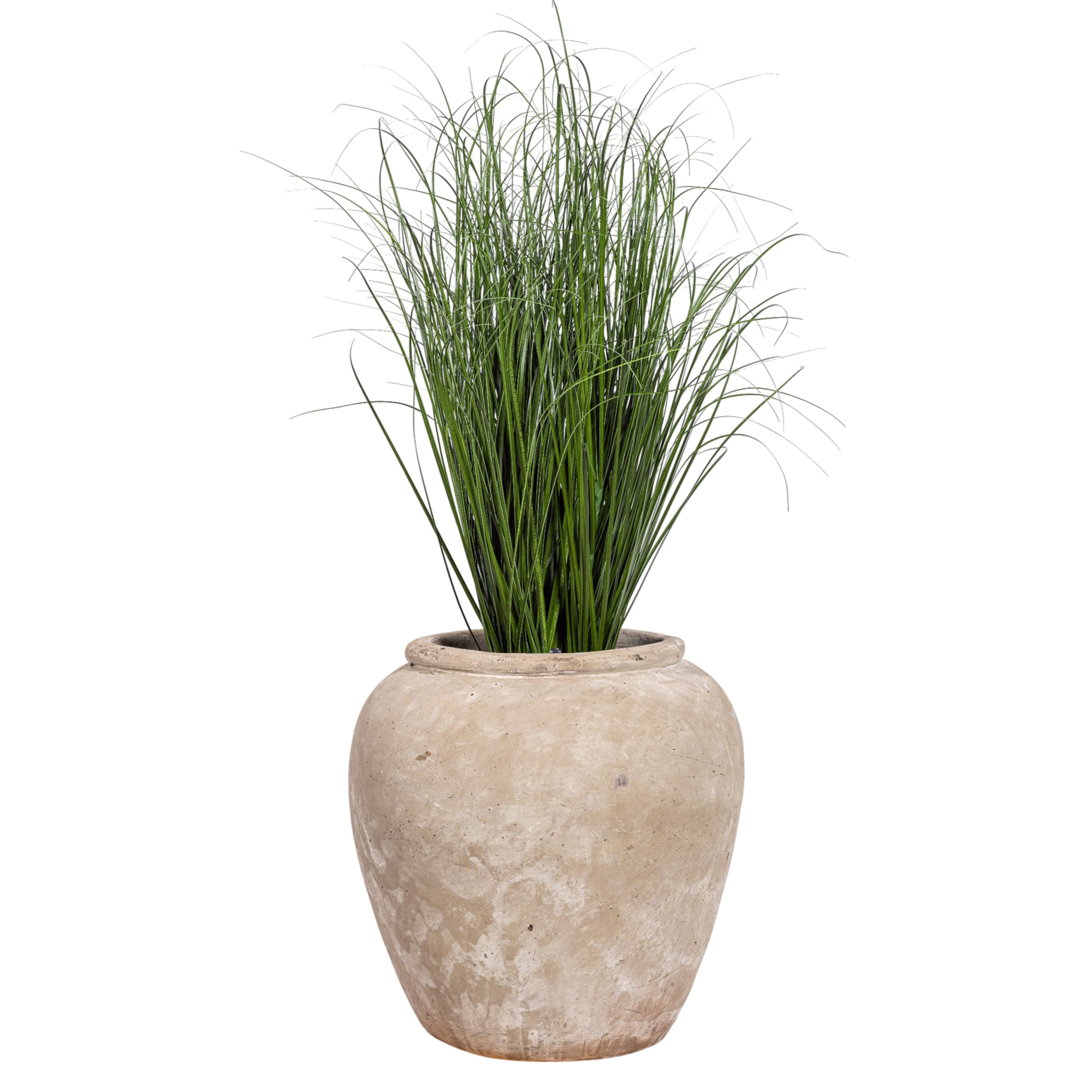 4' Grass Plant in Small Lynus Planter PC1516CN1381SM