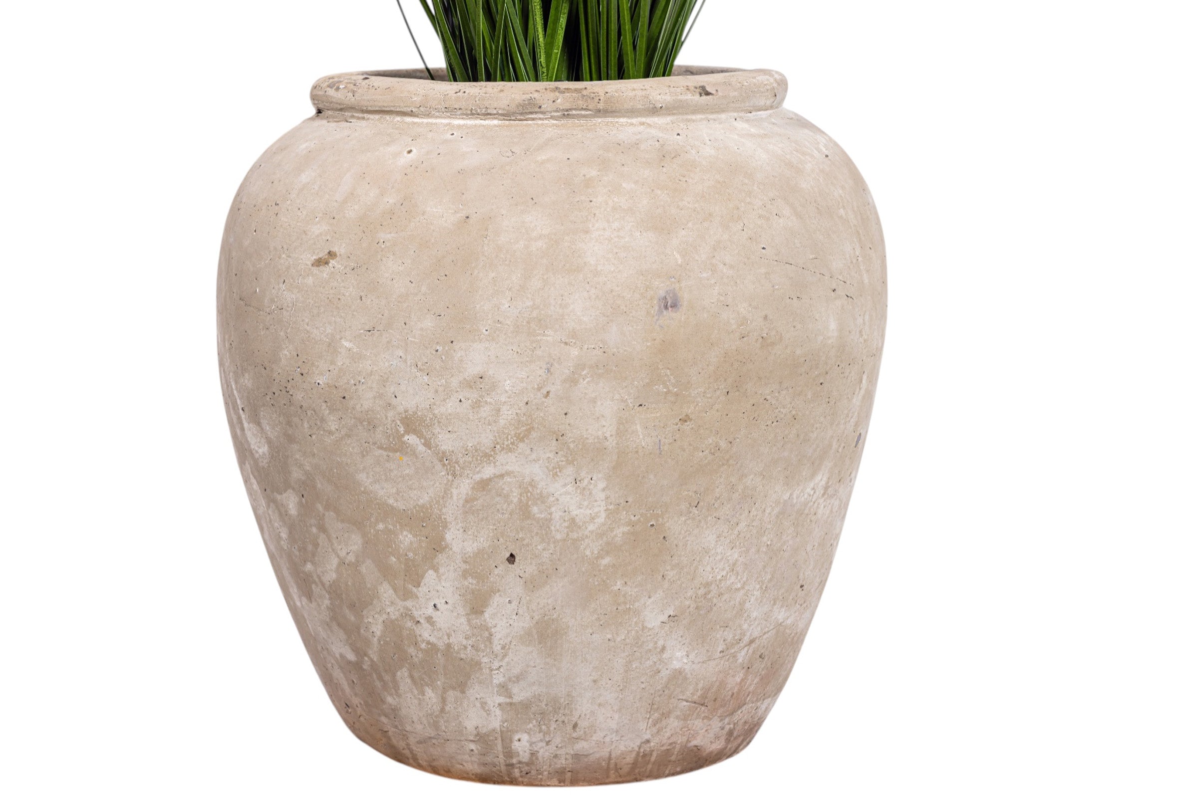 4' Grass Plant in Small Lynus Planter PC1516CN1381SM