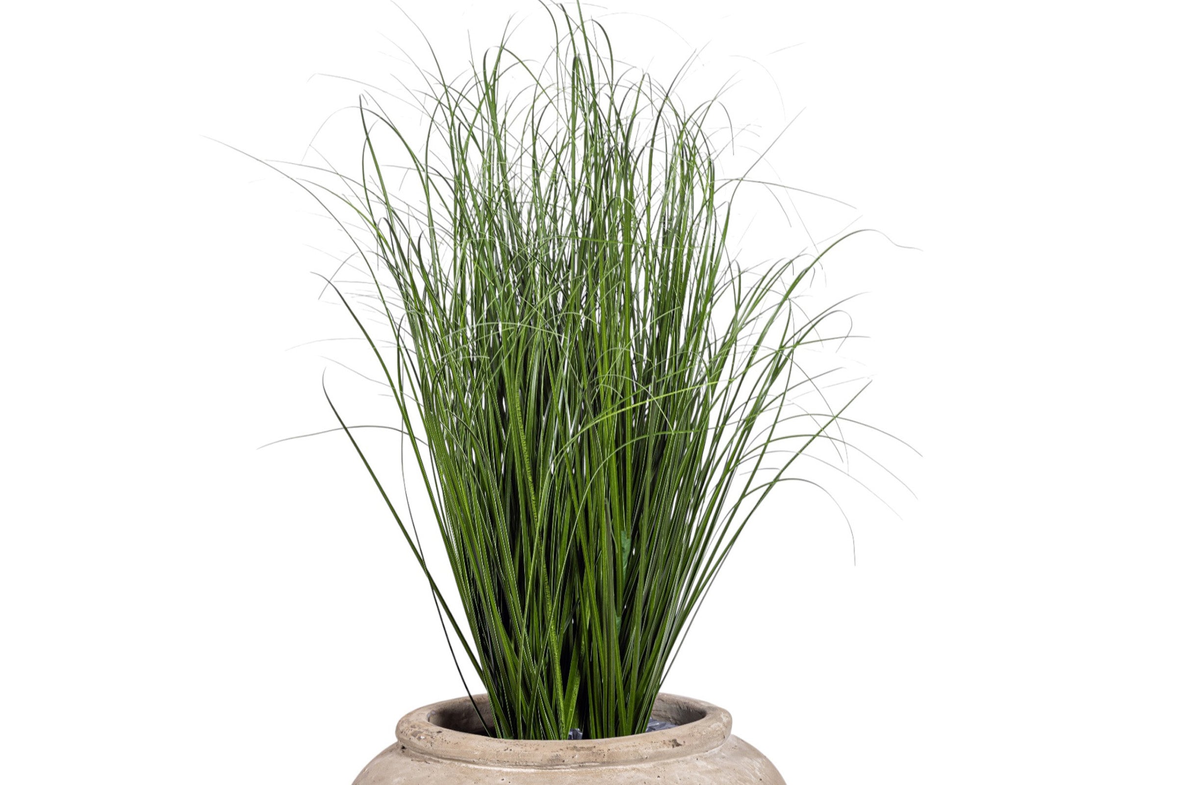 4' Grass Plant in Small Lynus Planter PC1516CN1381SM