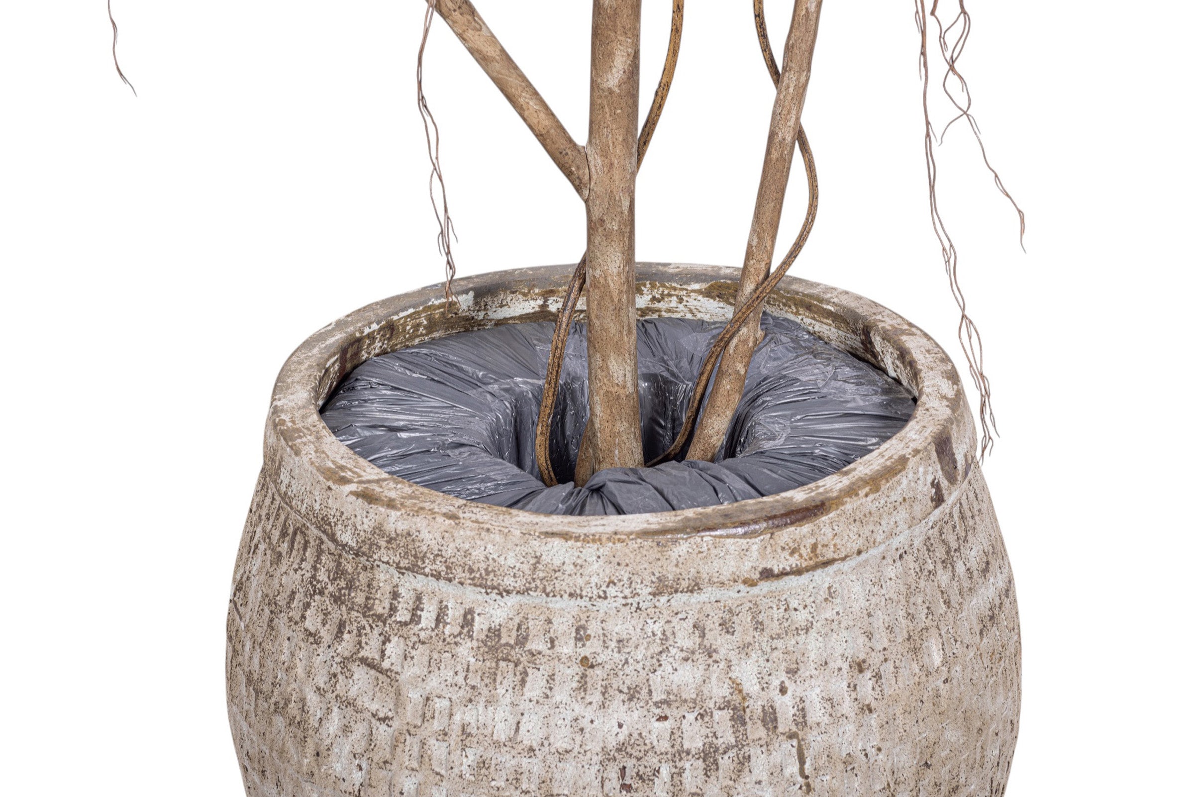 9' Audrey Ficus in Small Sable Planter with Underplanting #21   PC1433CN1436SM