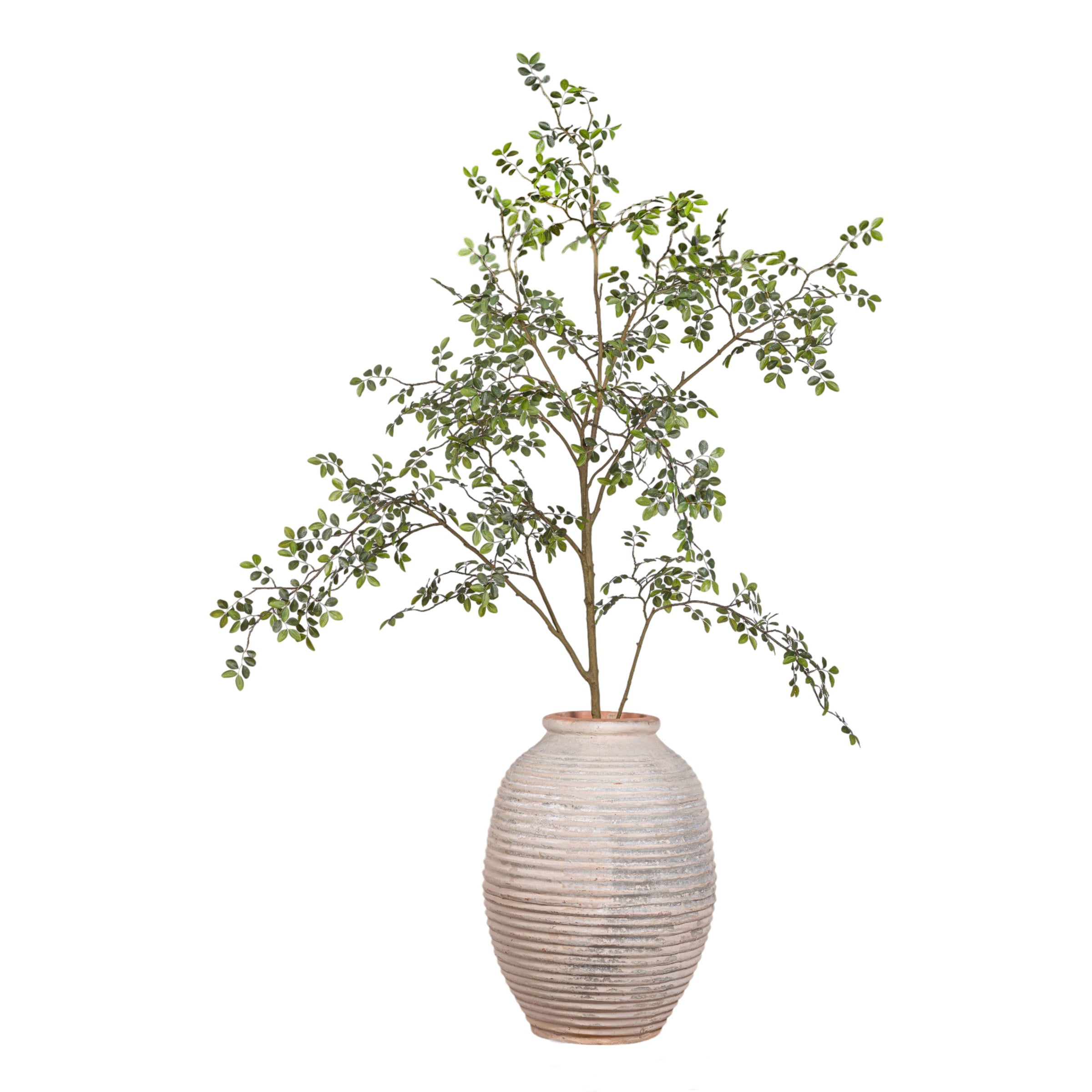 9' Rose Tree in Nala Planter PC1473CN1386WH