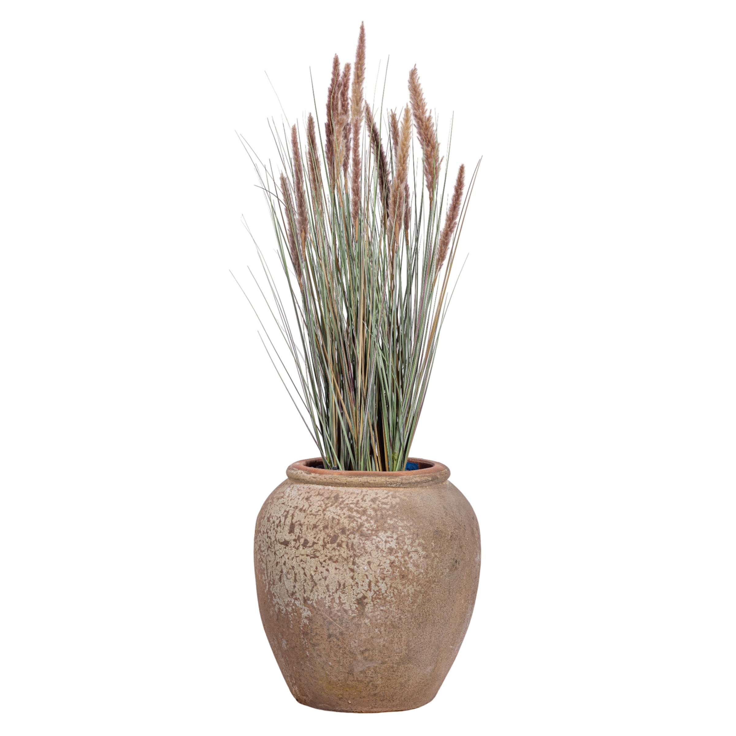 4.5' Foxtail Grass in Small Kai Planter with .5-1" Mixed Rock   PC1479CN1387SM