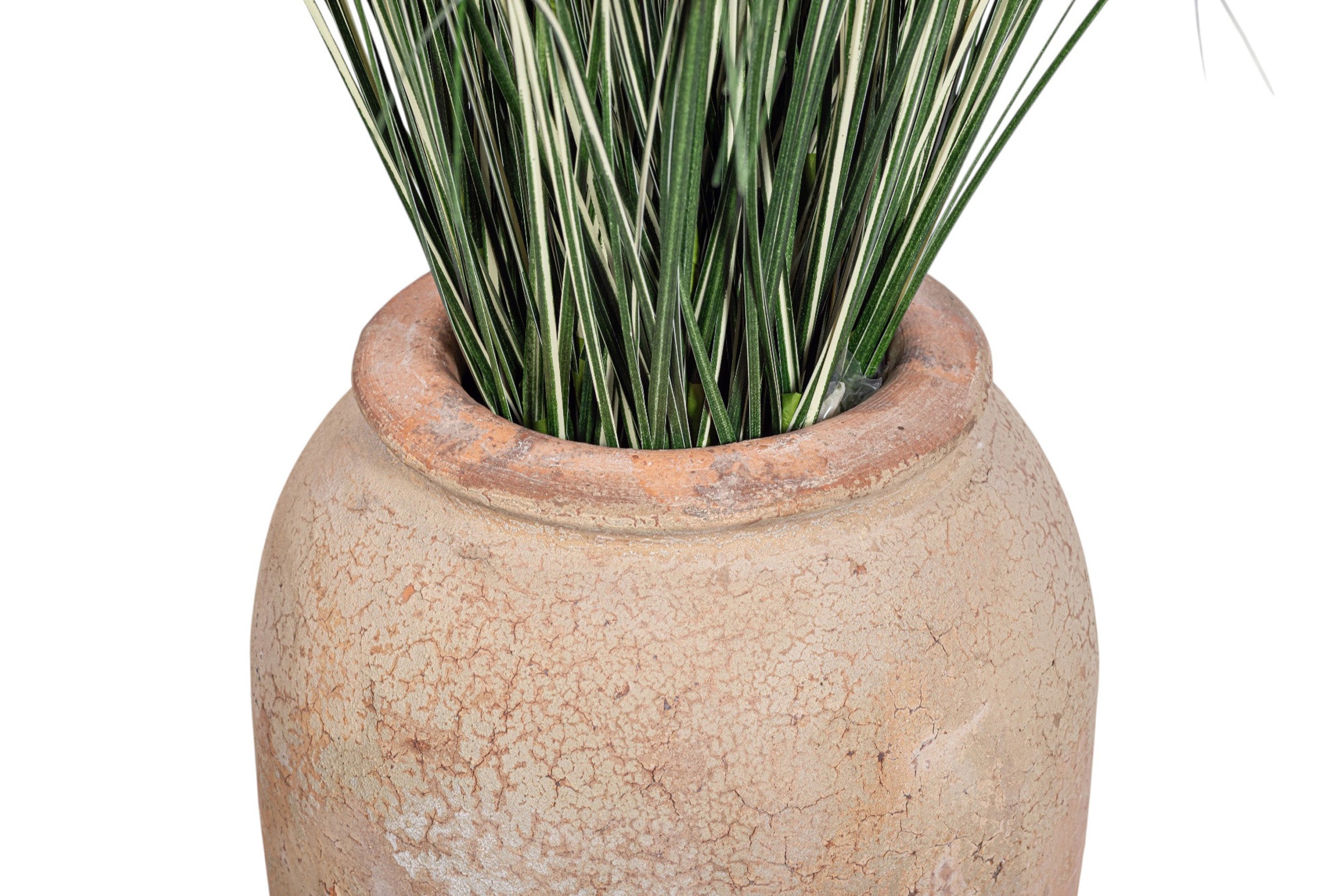 4.5' Variegated Grass in Small Matteo Planter PC1517CN1442SM