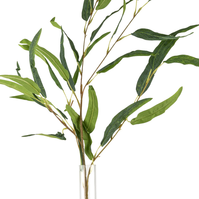 21" Bob a Loba with Long Leaf Eucalyptus Stem   AR1607