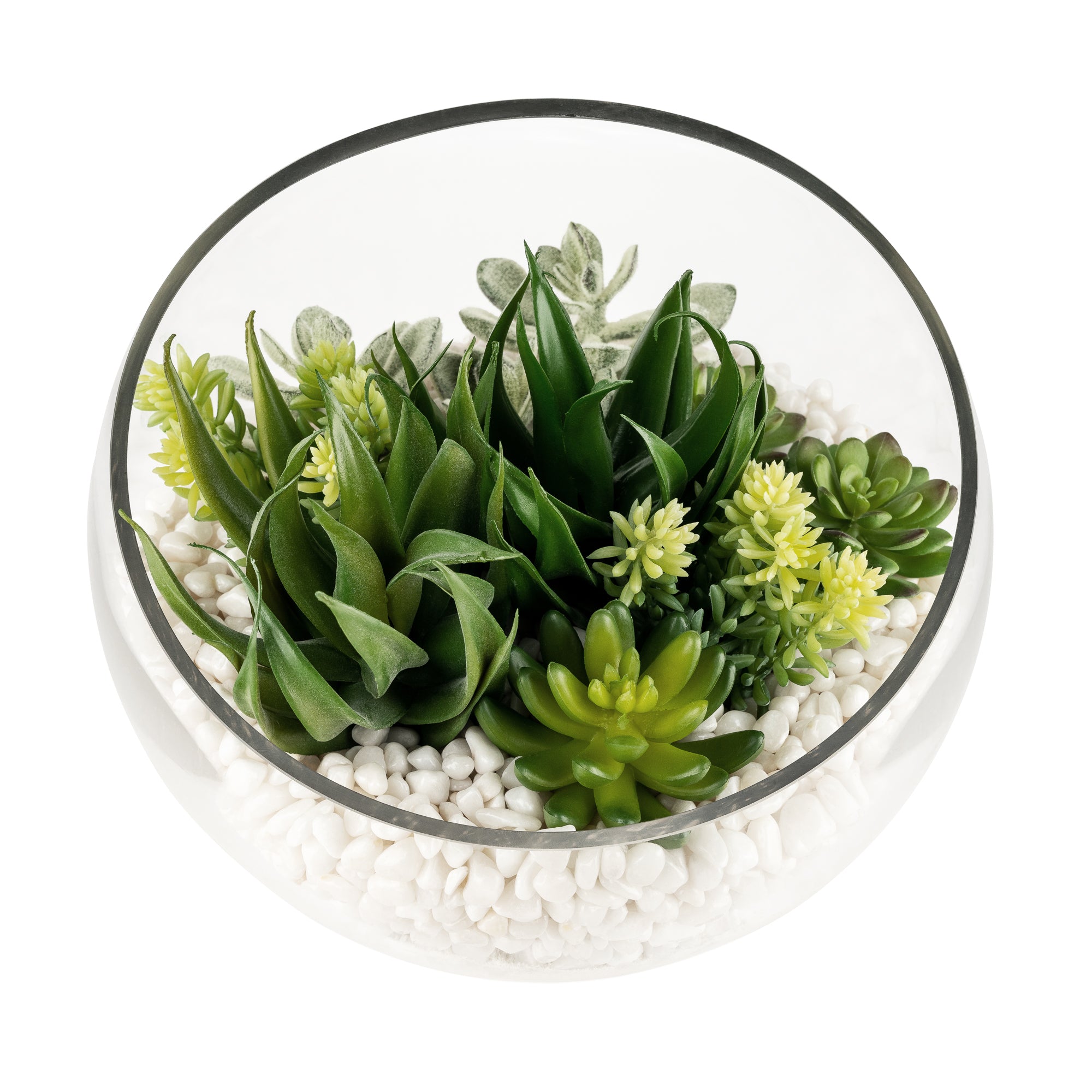 12" Bubba Slant Bowl with Succulent Arrangement   AR1609