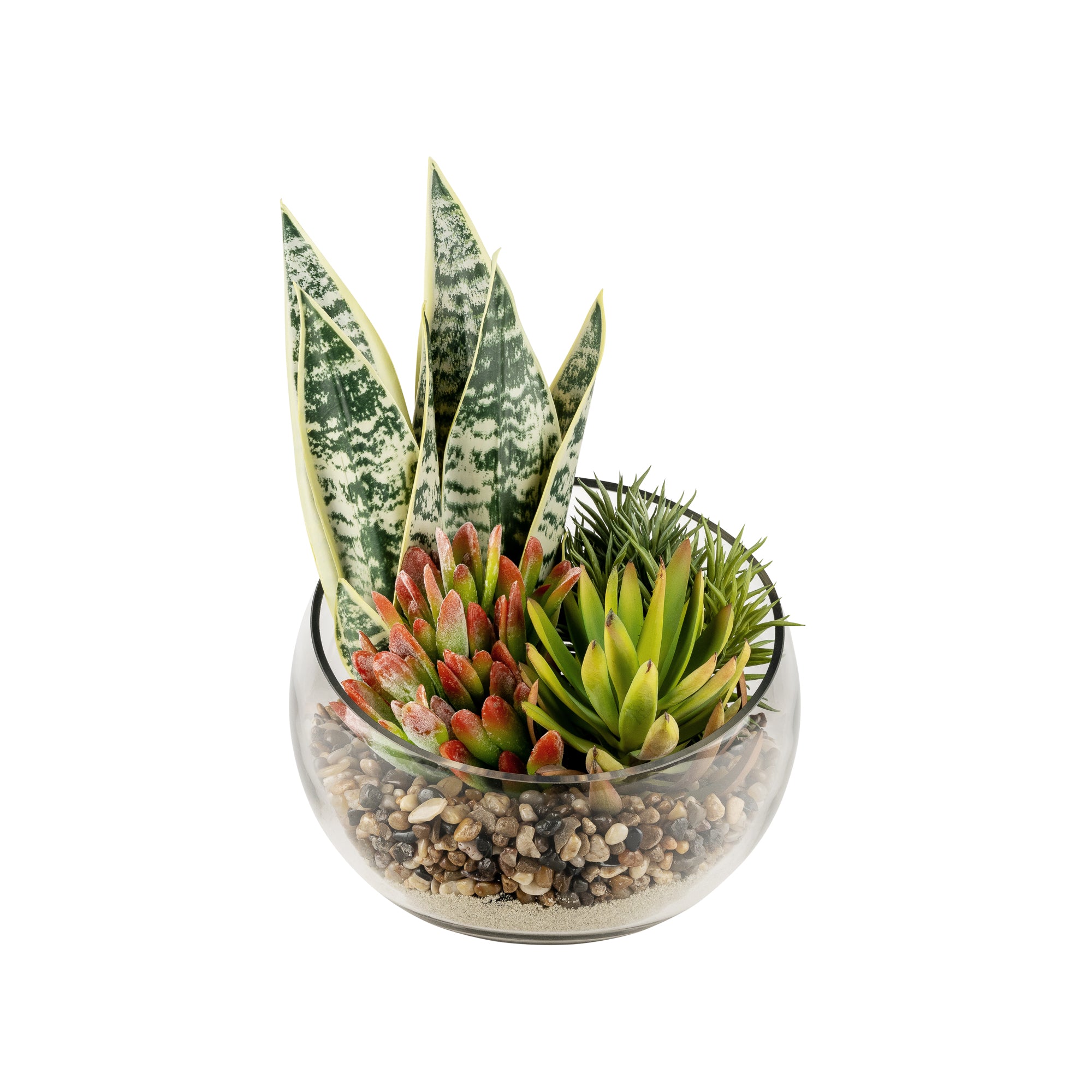 12" Bubba Slant Bowl with  Succulent Arrangement   AR1675