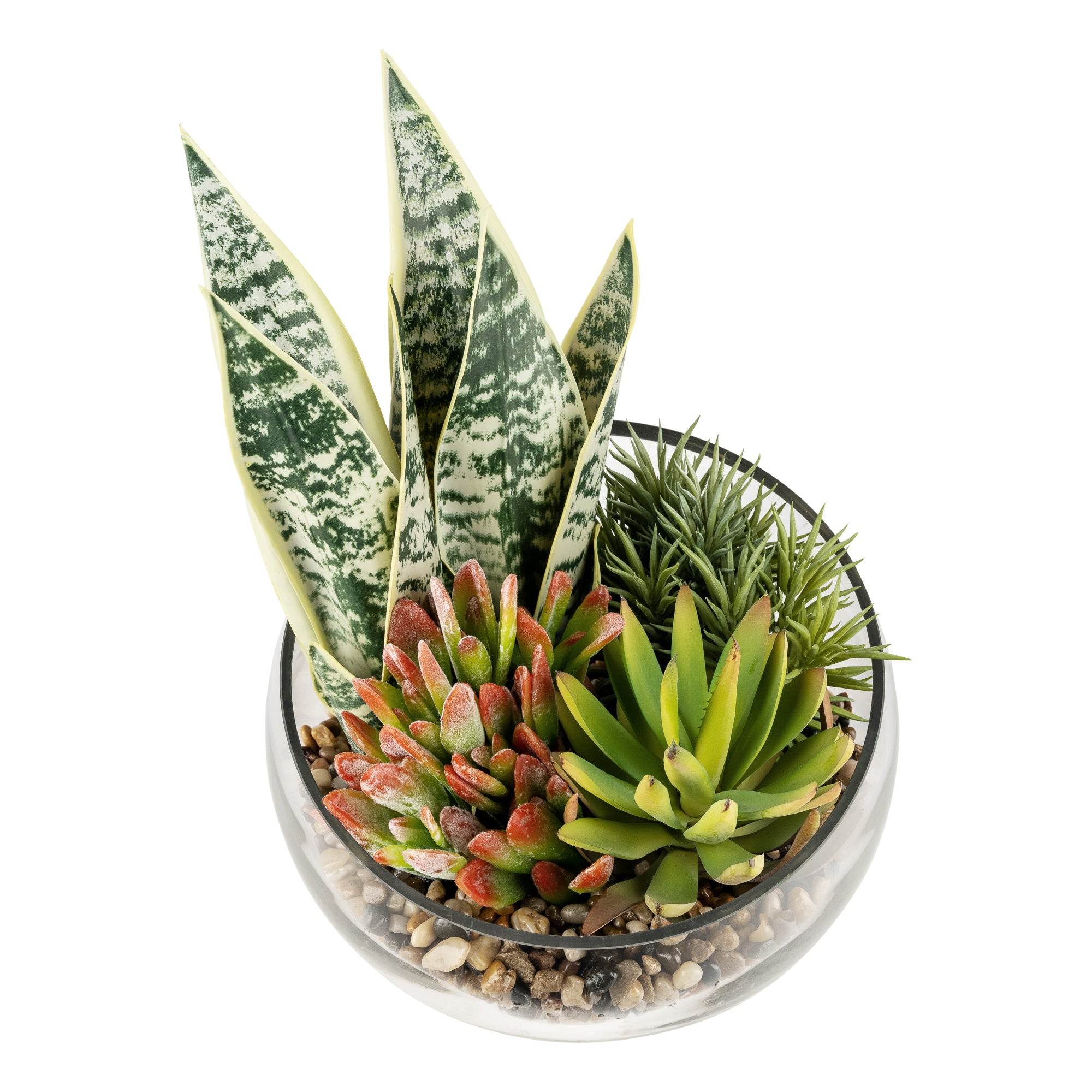 12" Bubba Slant Bowl with  Succulent Arrangement   AR1675