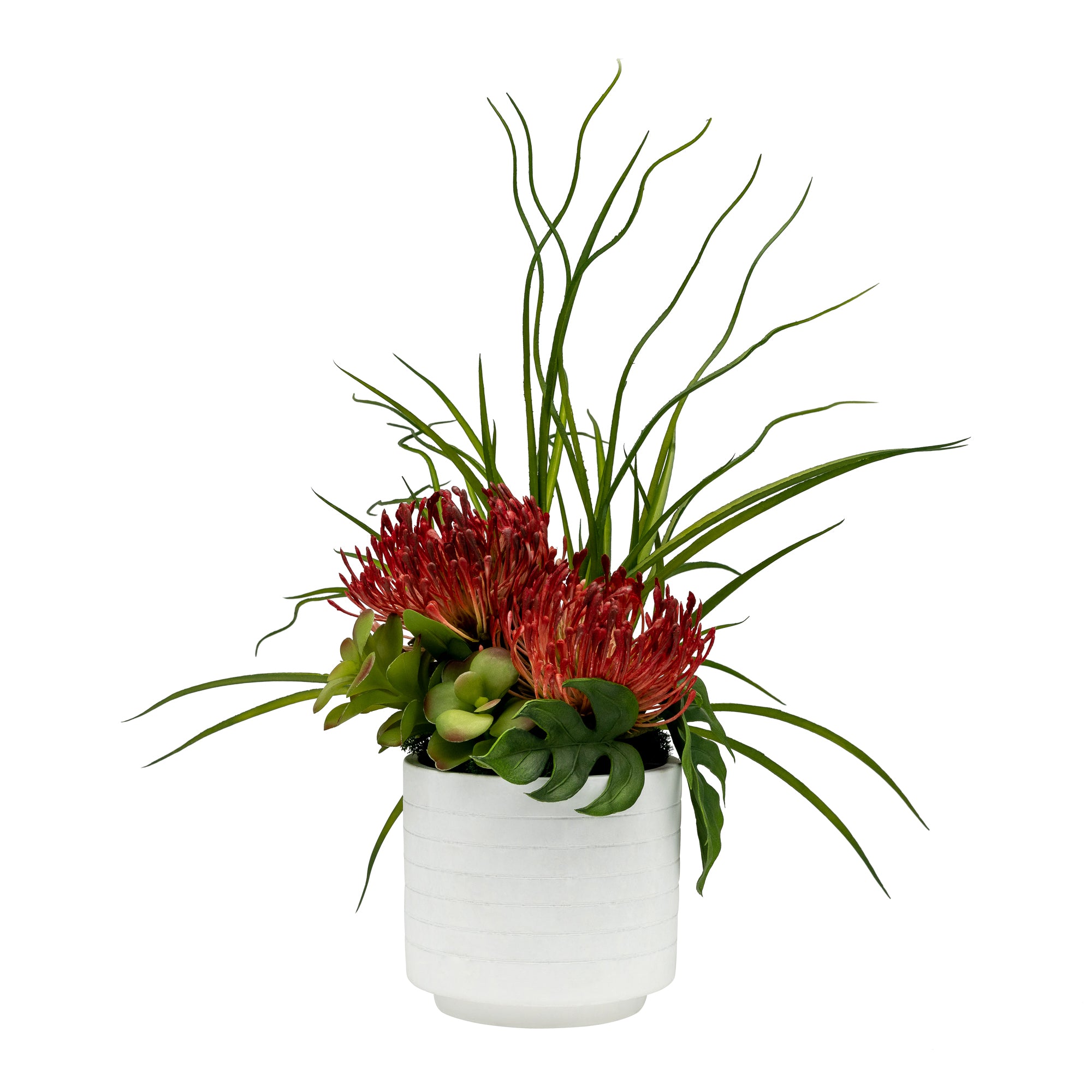 6" Flat White Pot with Red Protea Arrangement   AR1427