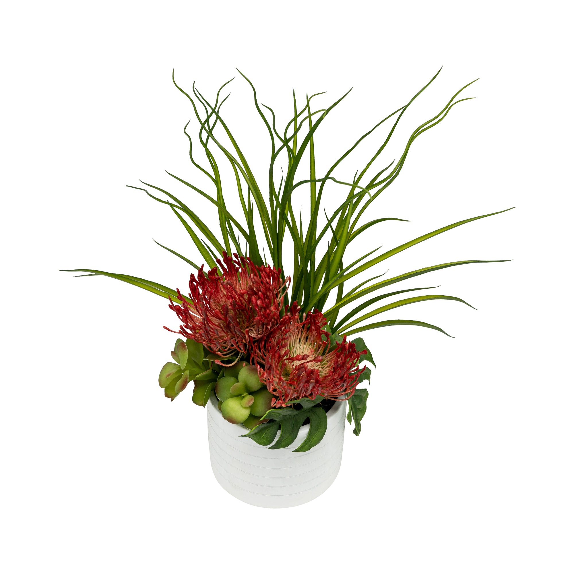 6" Flat White Pot with Red Protea Arrangement   AR1427