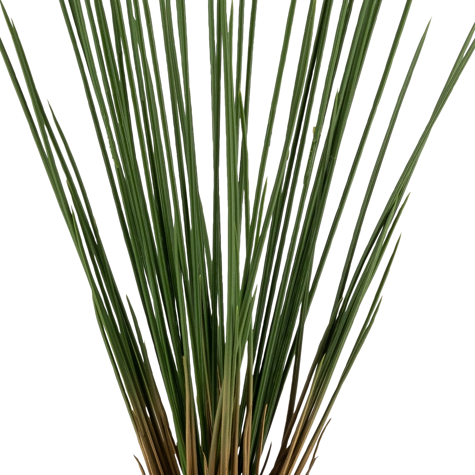 21" Royal Grass Bush- UV Protected   GS1027UV