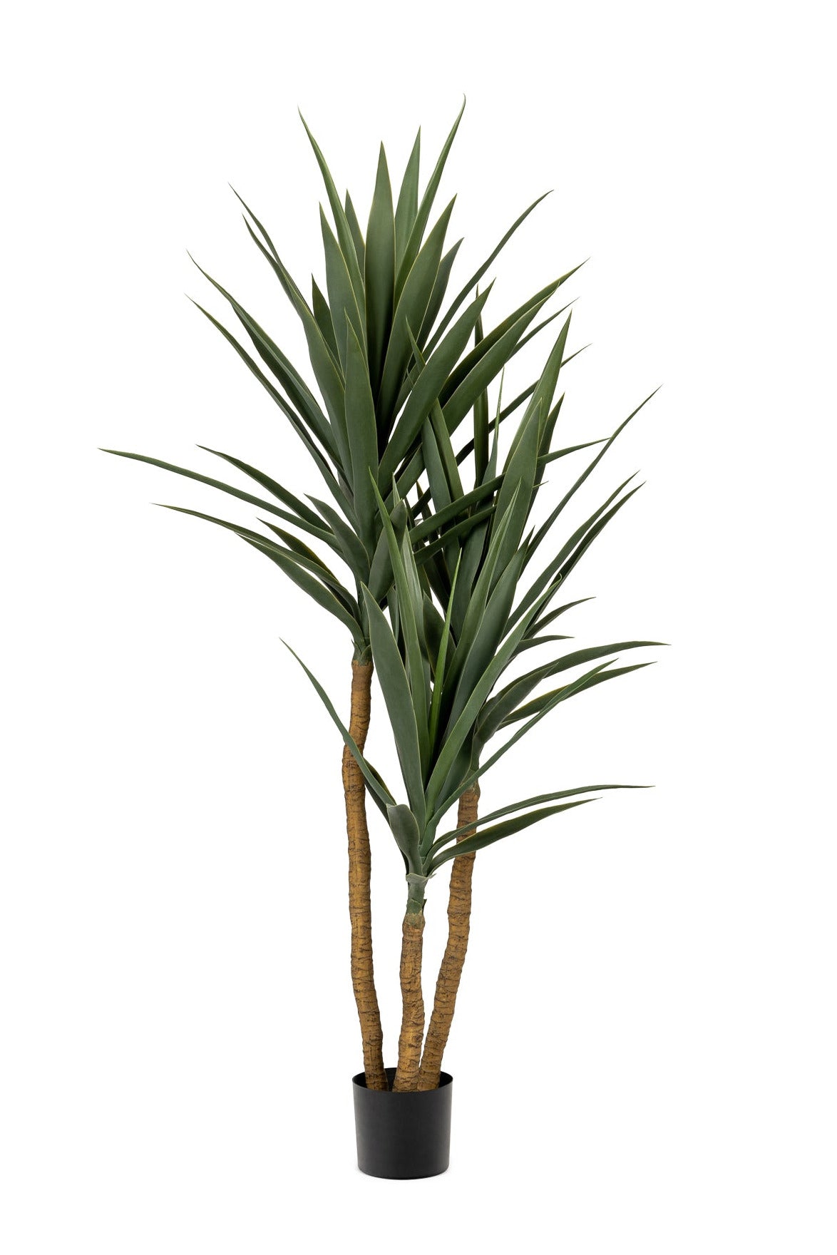 4' Yucca Tree- Green   FP1105