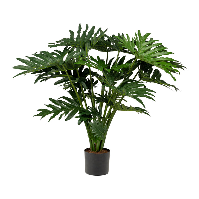 37” Philodendron Sellom  FP1242